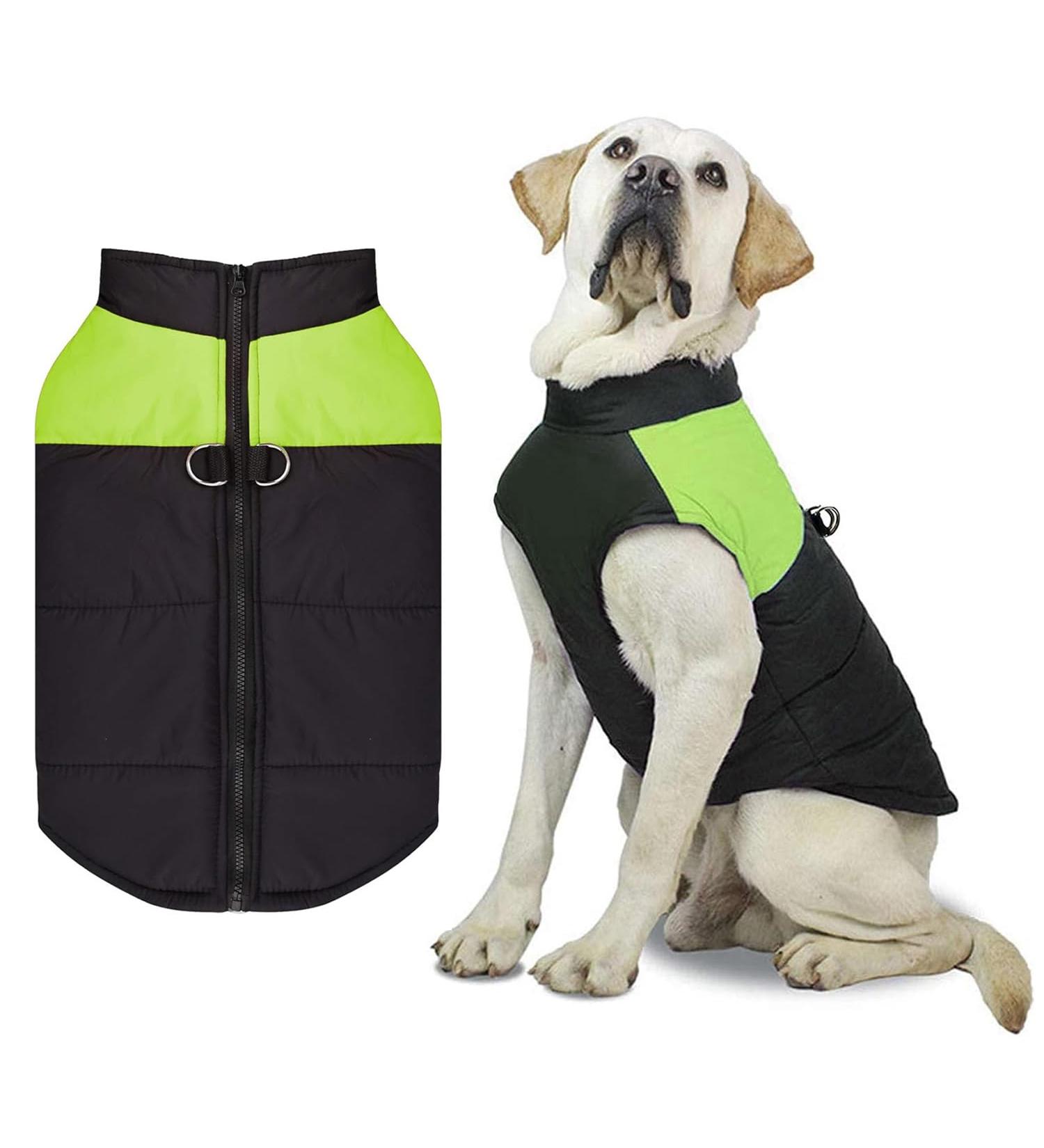 Warm Waterproof Dog Coat for Small to Medium Dogs - Windproof Winter Jacket with D-Ring - 2XL Green - Buy Online on GoSupps.com