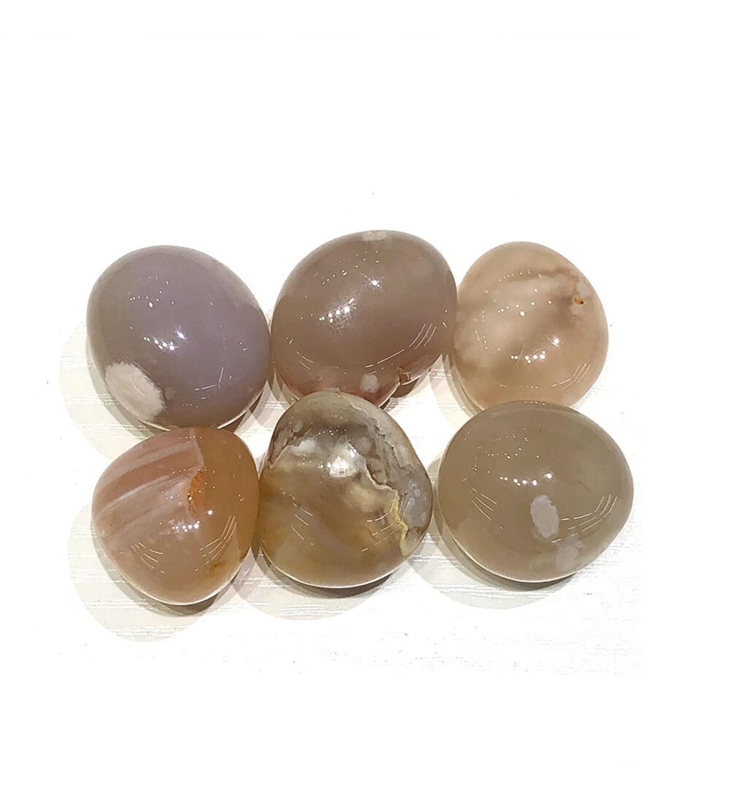Natural Crystal Rough 1pc Irregular Polished Tumbled Stone Fish Tank Garden Aquarium Natural Quartz Crystal Home Decor (Color : Flower Agate Size : 1pc) 1pc Flower Agate - Buy Online on GoSupps.com
