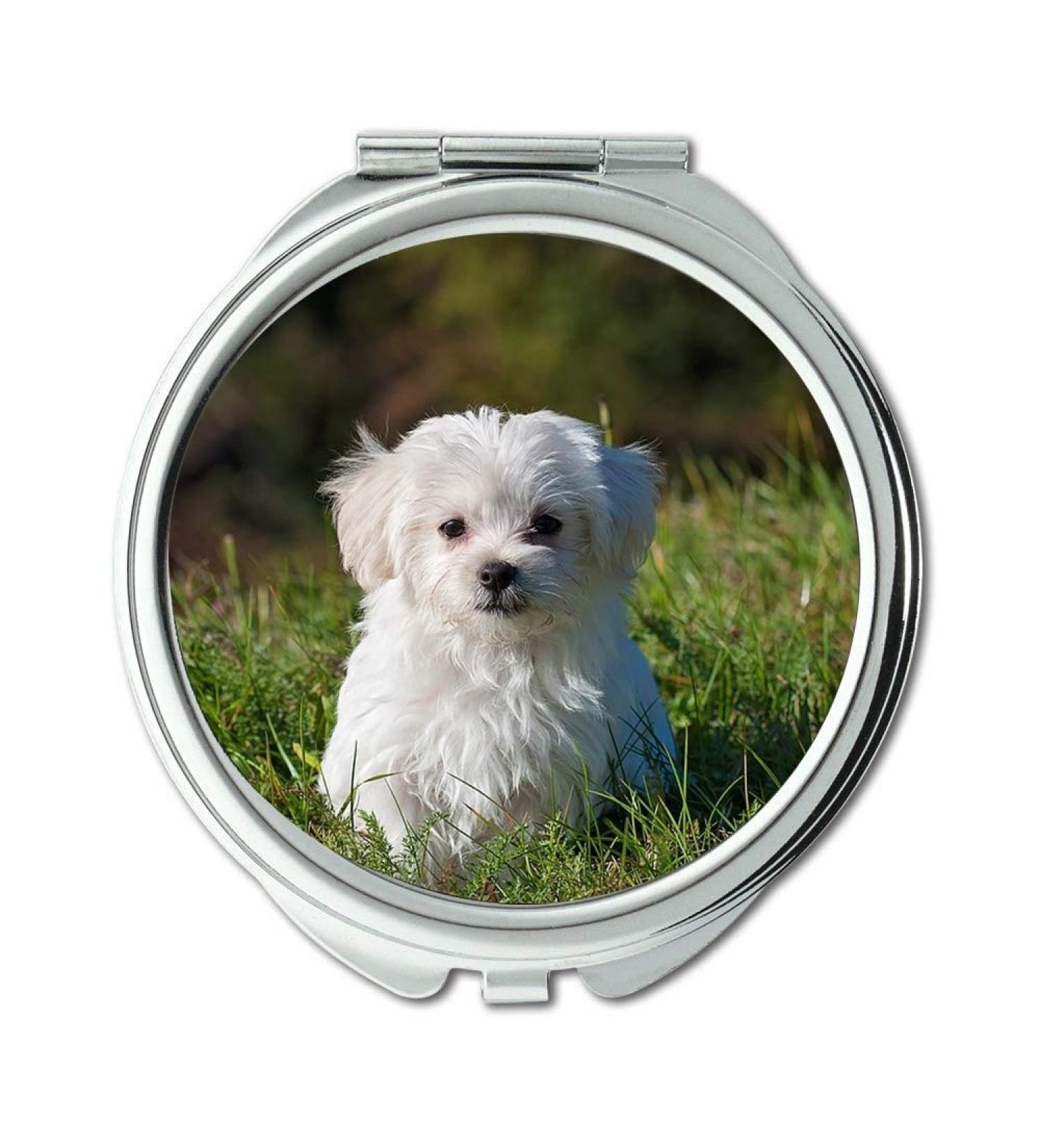 Mirror Travel Mirror Dog Young Dog Small Dog Maltese White Puppy Young Pocket Mirror portable mirror - Buy Online on GoSupps.com