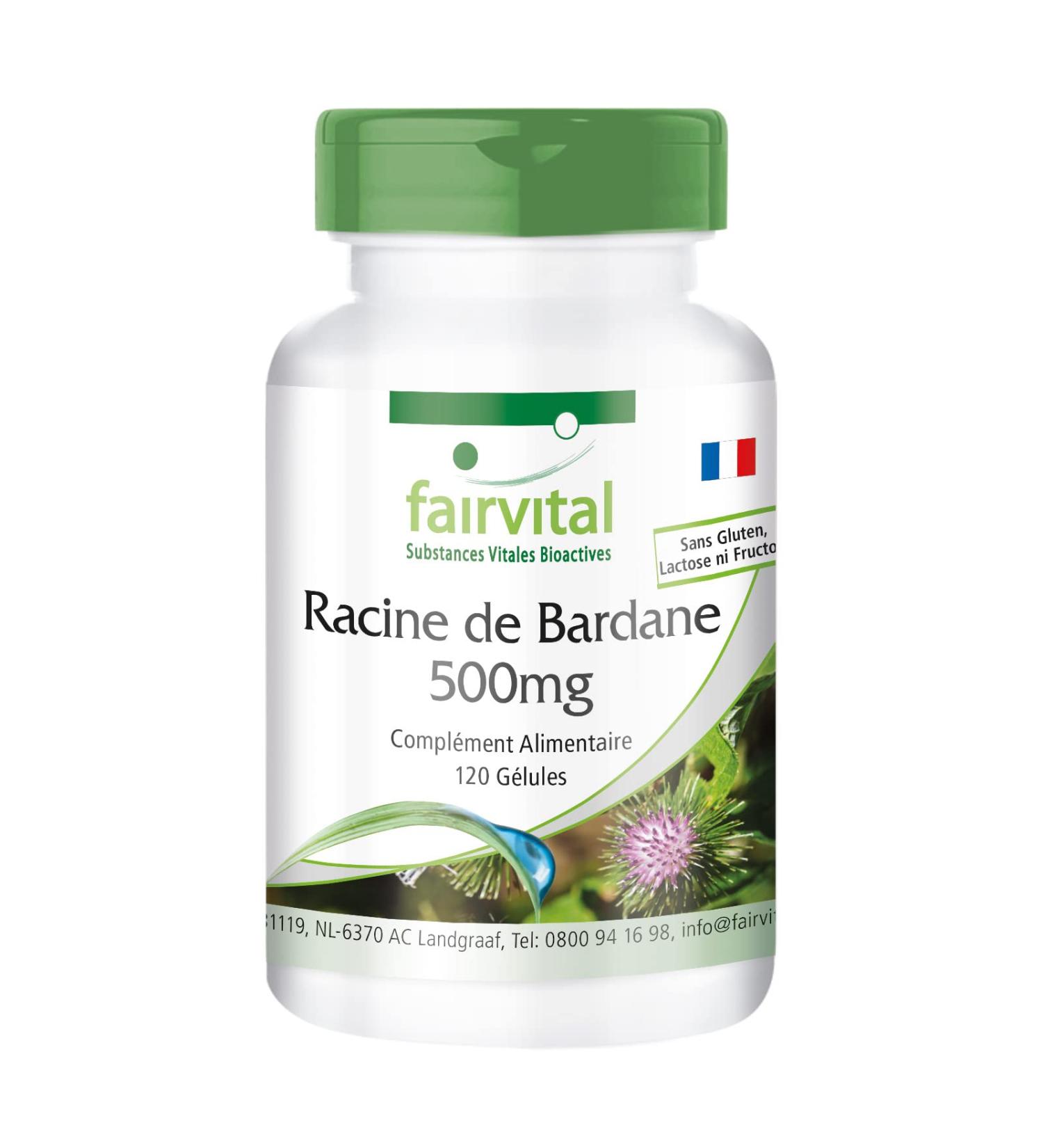 Fairvital | Burdock Root 500mg with Zinc - 120 Vegan Highly Dosed Capsule - Buy Online on GoSupps.com