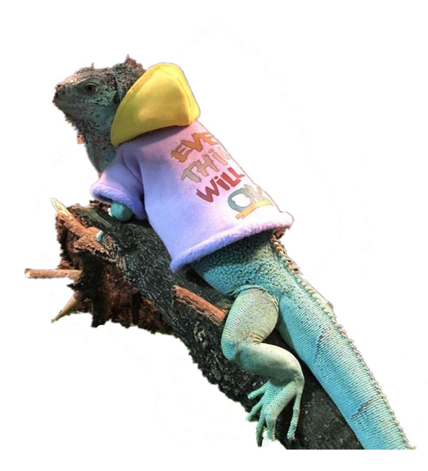 Lizard Clothes for Bearded Dragons Reptile Apparel Handmade Cotton Material Hoodies Sweater for Skin Protection Photo Party for Crested Gecko Chameleon Purple L - Buy Online on GoSupps.com