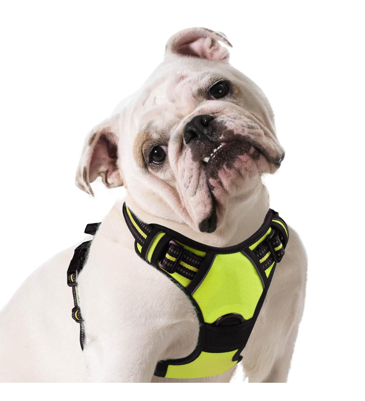 Buy Eagloo Medium Dog Harness - Adjustable Durable Anti- Pull with Reflex Strips for Walking & Jogging - Green M (1 Pack) - International Shipping Available - Buy Online on GoSupps.com