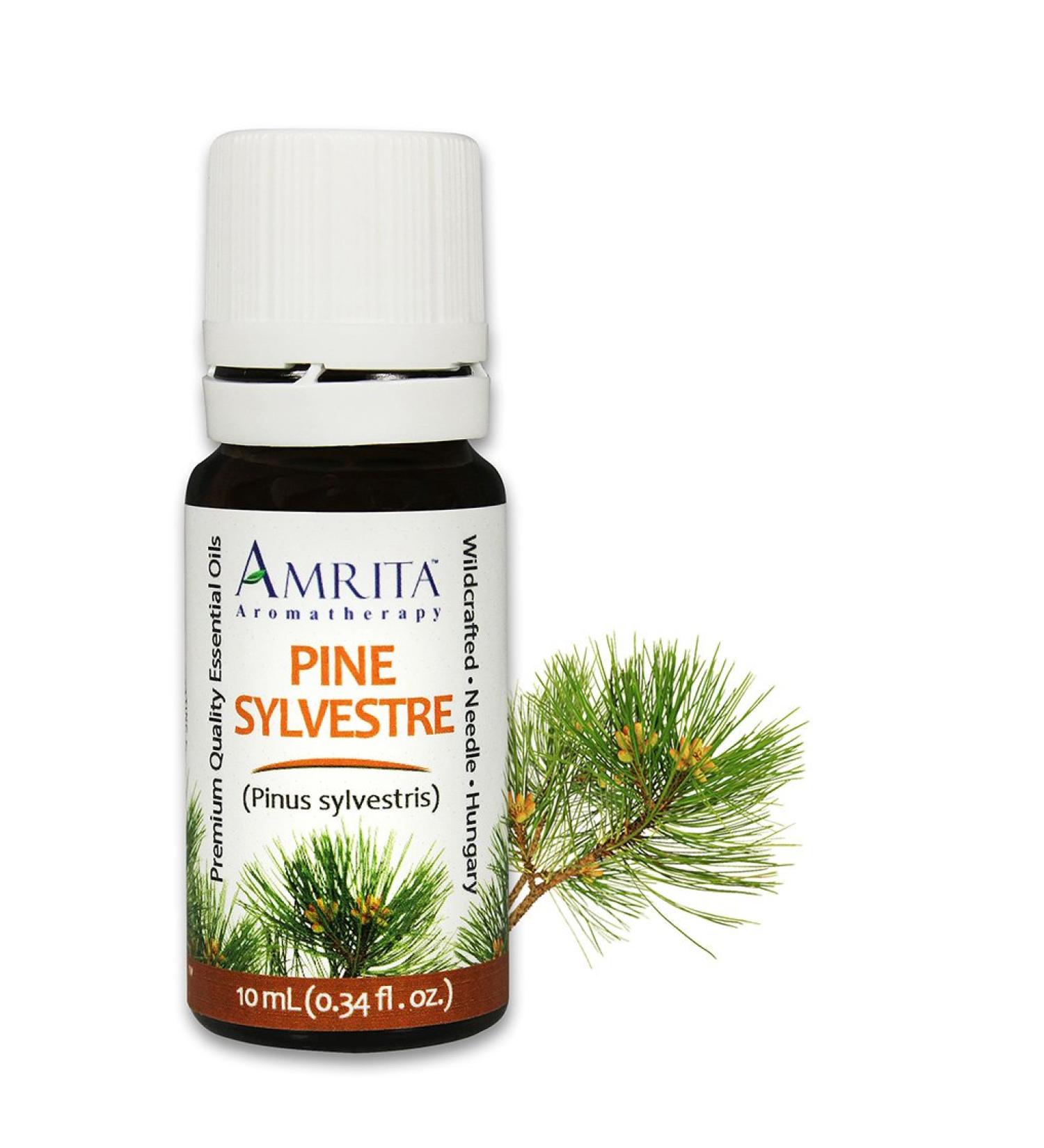 Pine Sylvestre Essential Oil 100% Pure Undiluted Pine sylvestris Therapeutic Grade Premium Quality Aromatherapy Oil Tested & Verified 10ML 0.34 Fl Oz (Pack of 1) - Buy Online on GoSupps.com