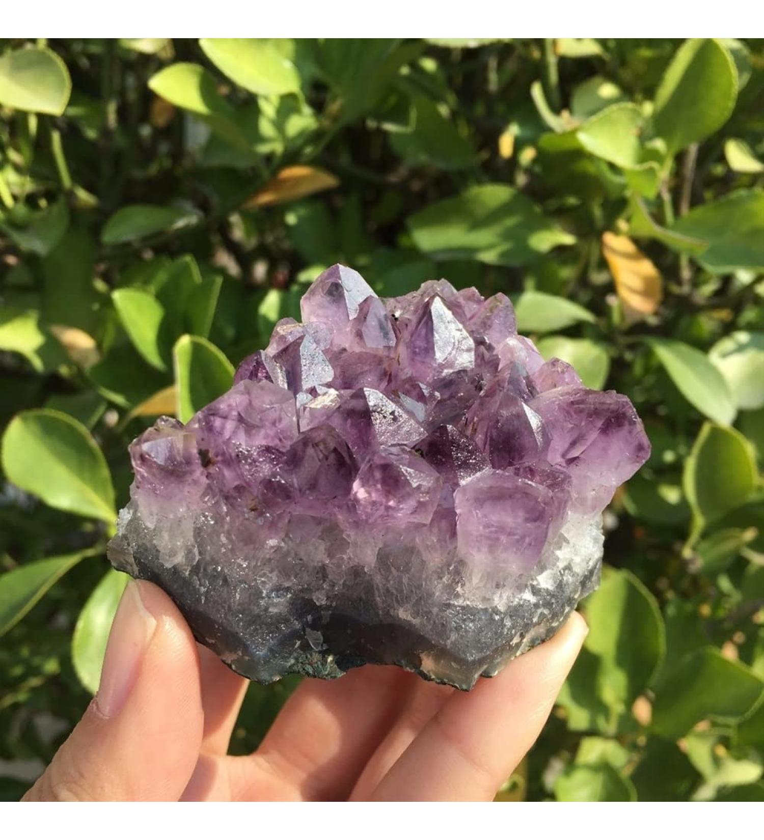 Specimen 142g Natural Dream Amethyst Quartz Crystal Cluster Specimen - Buy Online on GoSupps.com