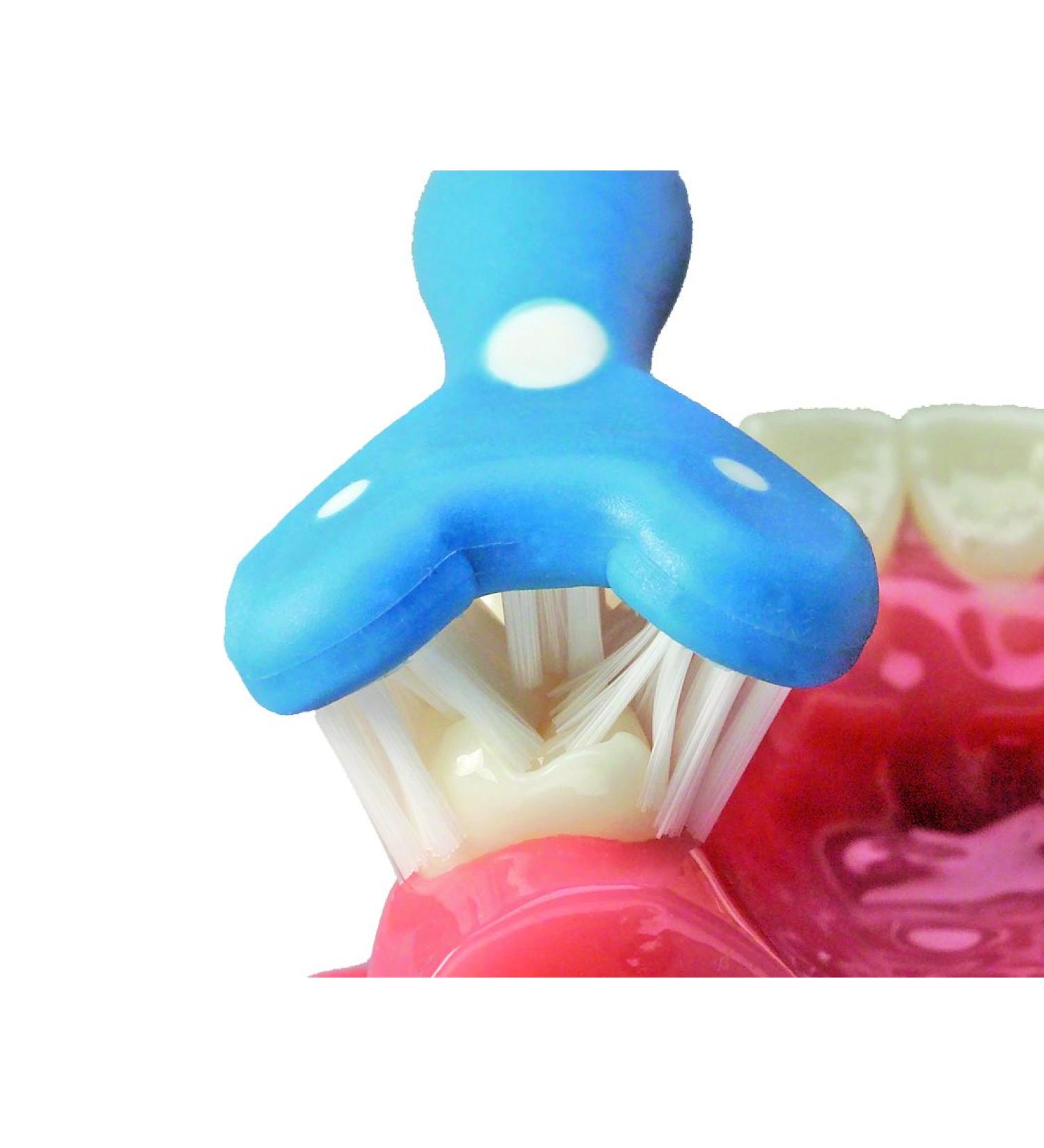 Surround Toothbrush (Pack of 2) (Blue/Coral)