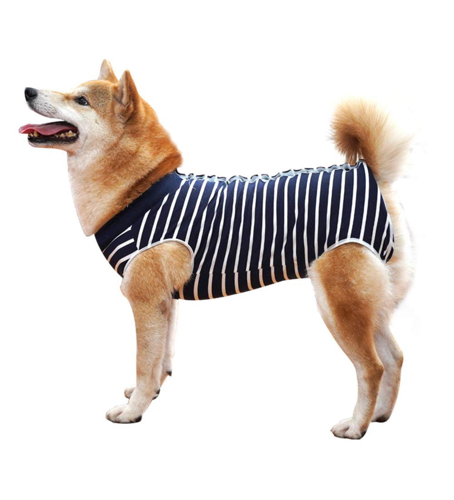 Heywean Dog Recovery Suit | Post-Surgery Wound Protection for Dogs | Professional Pet Medical Shirt (Size L) - Buy Online on GoSupps.com