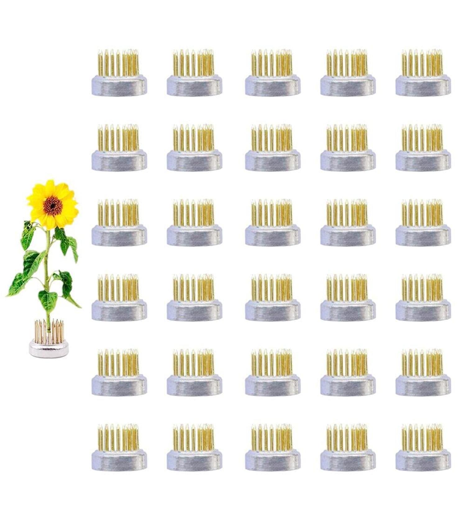 Eggone Flower Frog Mini Kenzan 23mm - 30 Pack - Buy Online on GoSupps.com