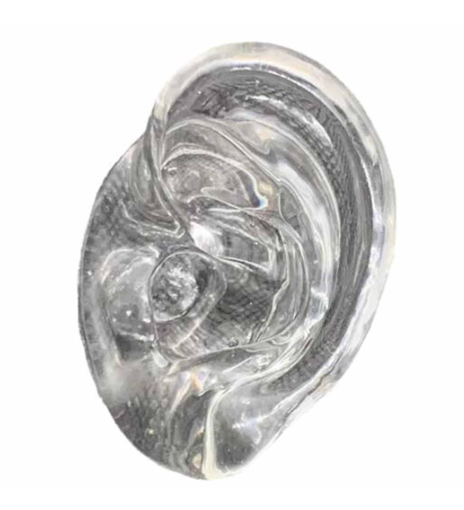 Soft Silicone Ear Model for Acupuncture & Science Studies | Anatomical Left Ear Simulation - Buy Online on GoSupps.com