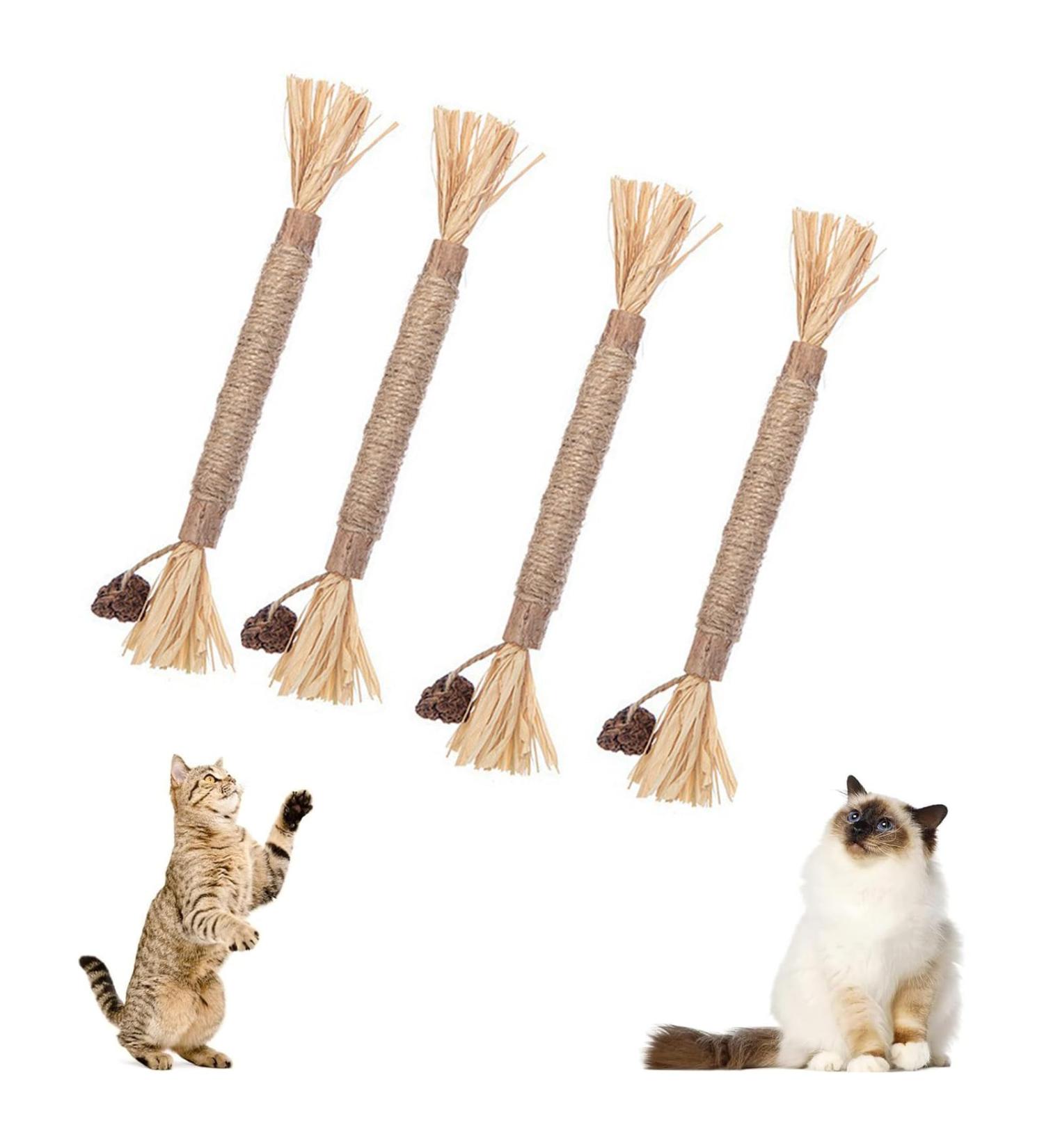 HBINGL Silvervine Chew Sticks for Cats 4 pcs Brown Catnip Chew Sticks for kitten Cat Teeth Nip Cleaning Teeth Chew Catnip Toys Natural Cat Teeth Nip Cleaning Catnip for Indoor Cats - Buy Online on GoSupps.com