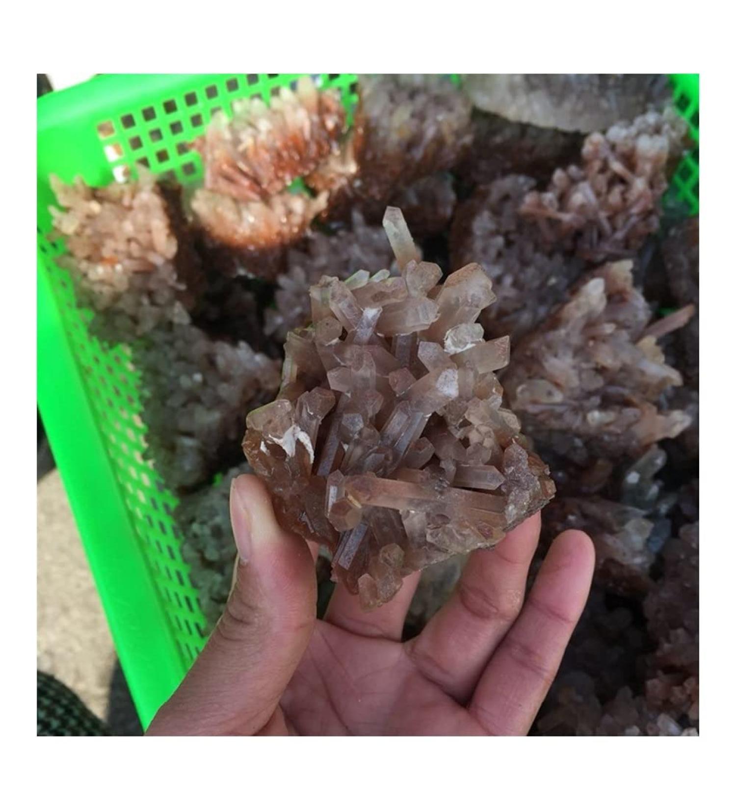 Decorative Crystal Natural Rough red Quartz Crystal Gemstone Cluster Reiki Crystal Stone Specimen Home Decor Crystal - Buy Online on GoSupps.com