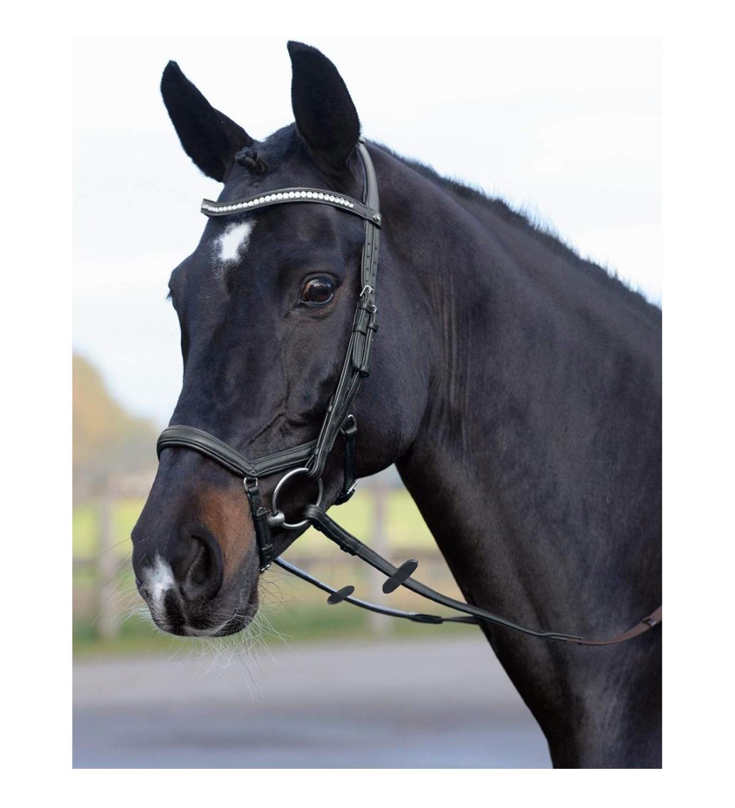 Busse Bridle Emotion Black/Crystal for Warmbloods | Premium Equestrian Gear - Shop Internationally! - Buy Online on GoSupps.com