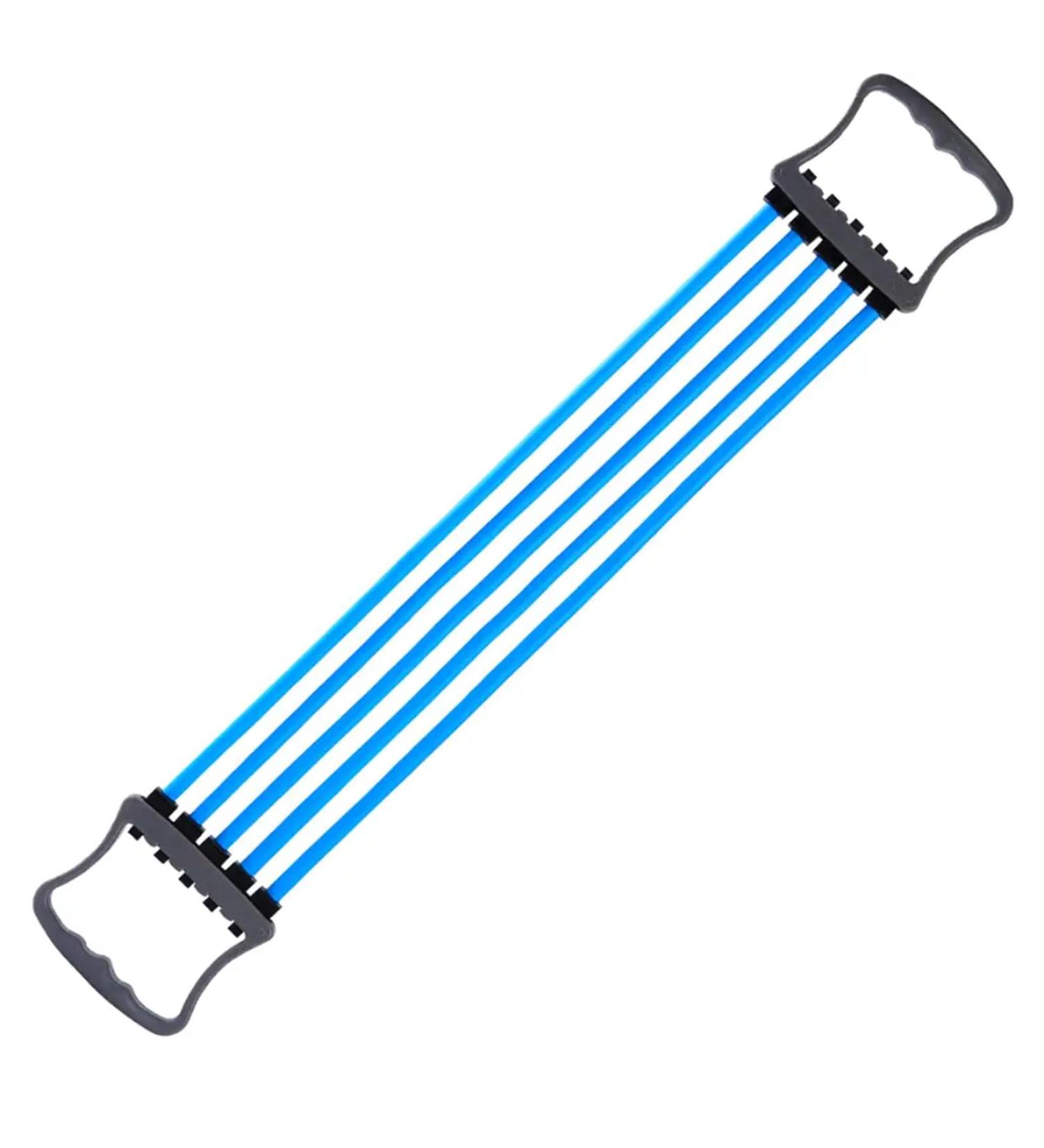 Wilsonzin Fitness Expander - 5 Removable Resistance Bands for Home & Studio Muscle Training - Buy Online on GoSupps.com
