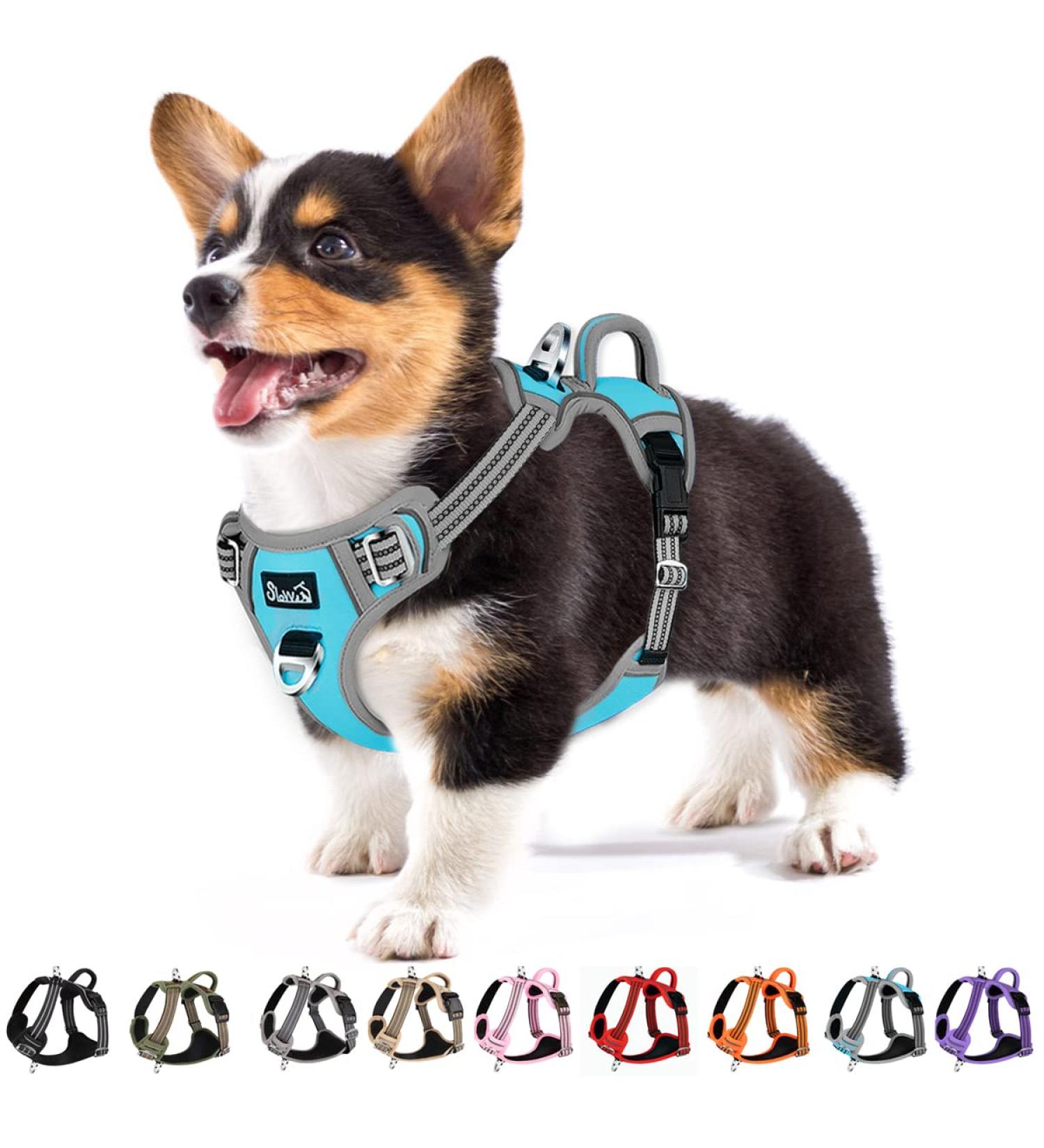Eyin Adjustable Dog Harness for Small Dogs | Breathable Reflective Padded | Daily Training | Blue (S) - Fits Neck 32-46cm Chest 35-63cm - Buy Online on GoSupps.com