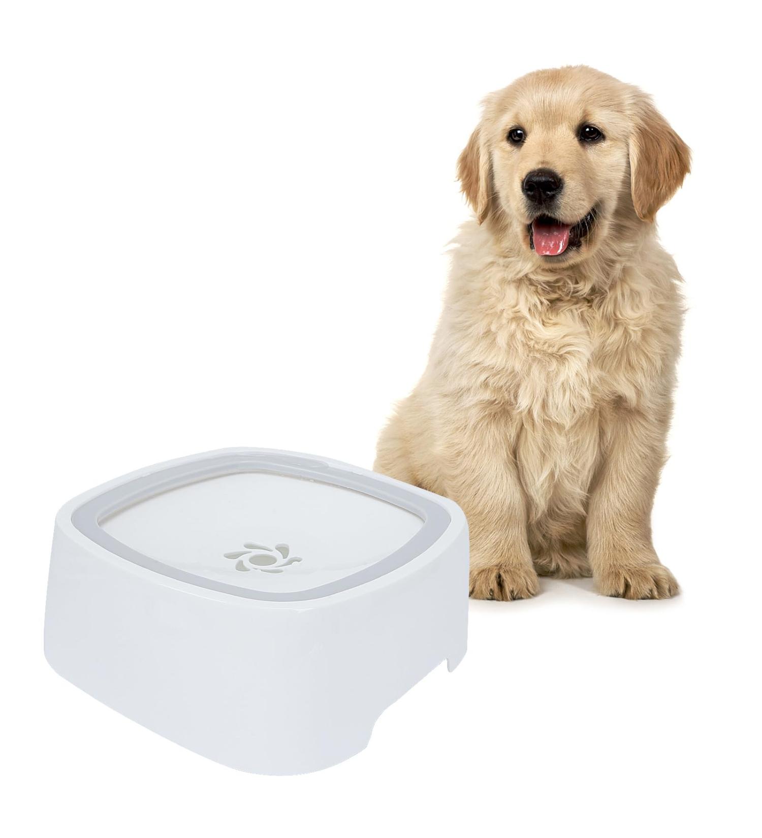 Yzzaoo Anti-Schwapp Dog Water Bowl - 1L No Drooling Perfect for Travel & Home Use - Buy Online on GoSupps.com