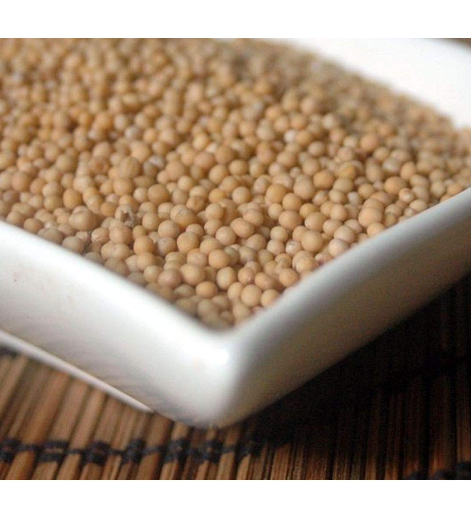 Krauterino24 Krauterino24 - Mustard seeds: 100 g