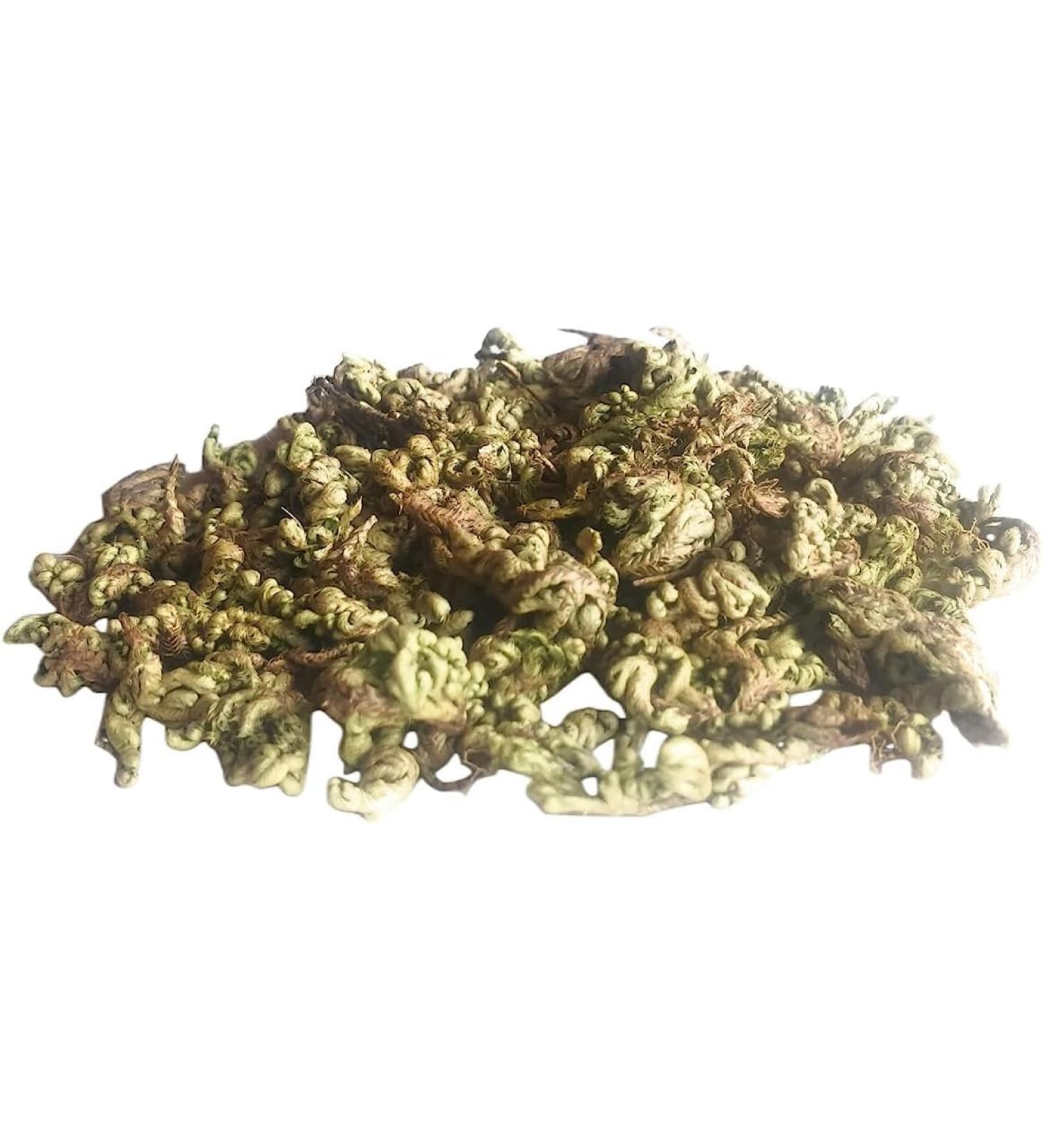 NN LAXMANA BOOTI (Selaginella bryopteris) SANJIVANI BOOTI SANJEEVANI BUTI SANJIVNI BOOTI LAKSHMANA BUTI SANJEEVNI BOOTI (100 GM)