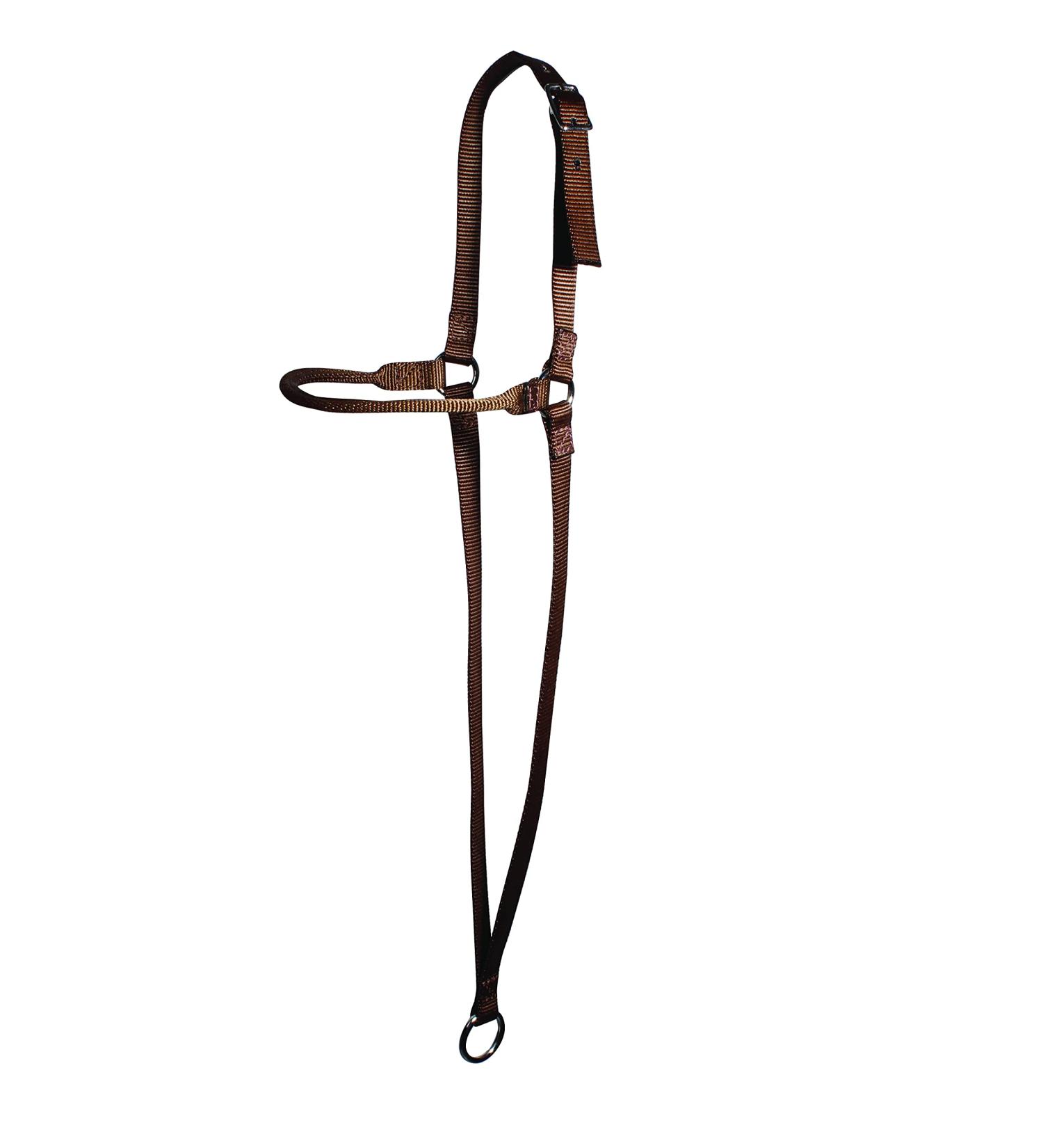 Professional's Choice Web War Bonnet Brown