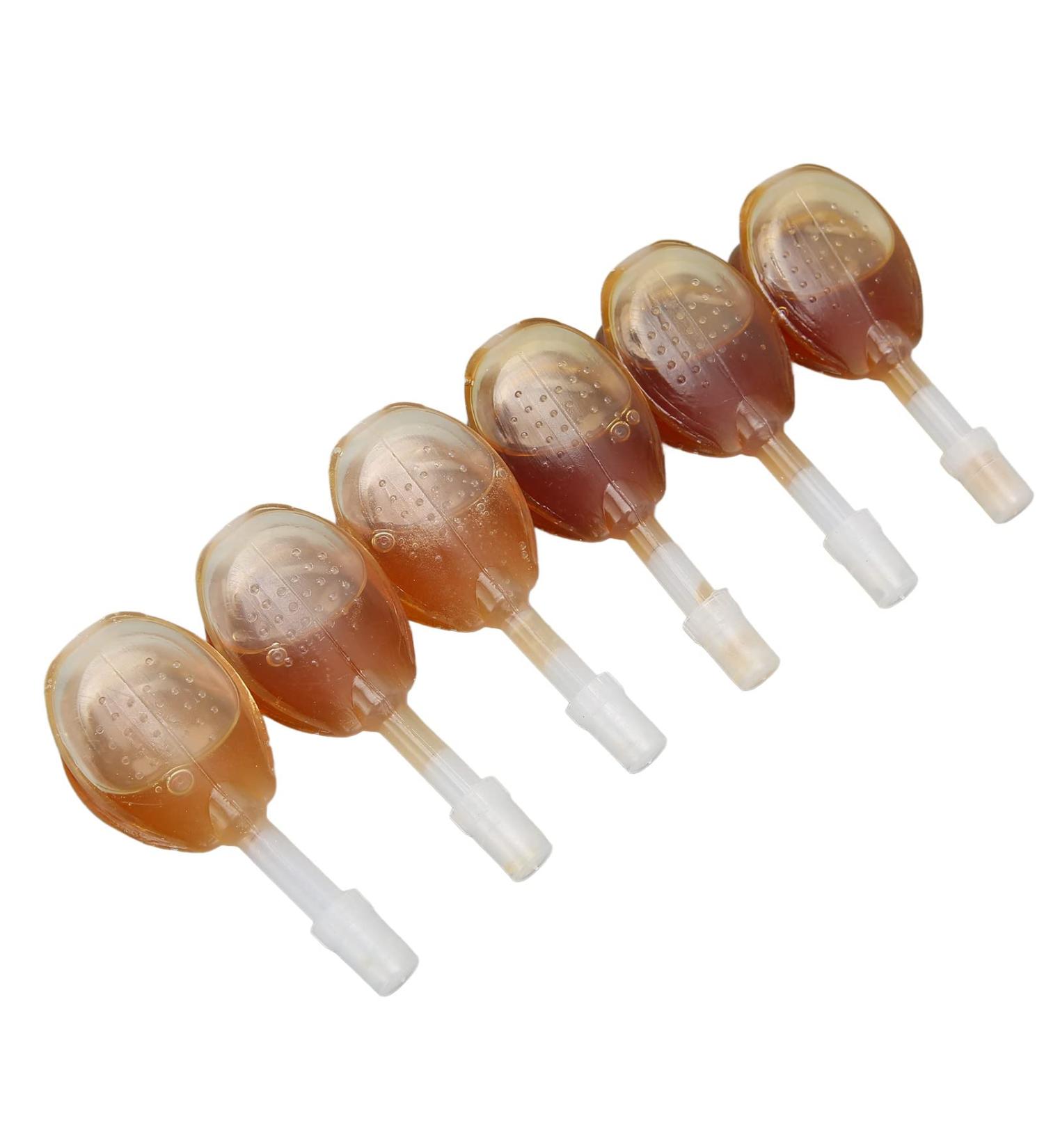 Glycerin Suppository Honey 7ml - Mild Constipation Relief for Young Children - Natural Stool Softener with Bowel Stimulating Formula - 6PCS - Buy Online on GoSupps.com