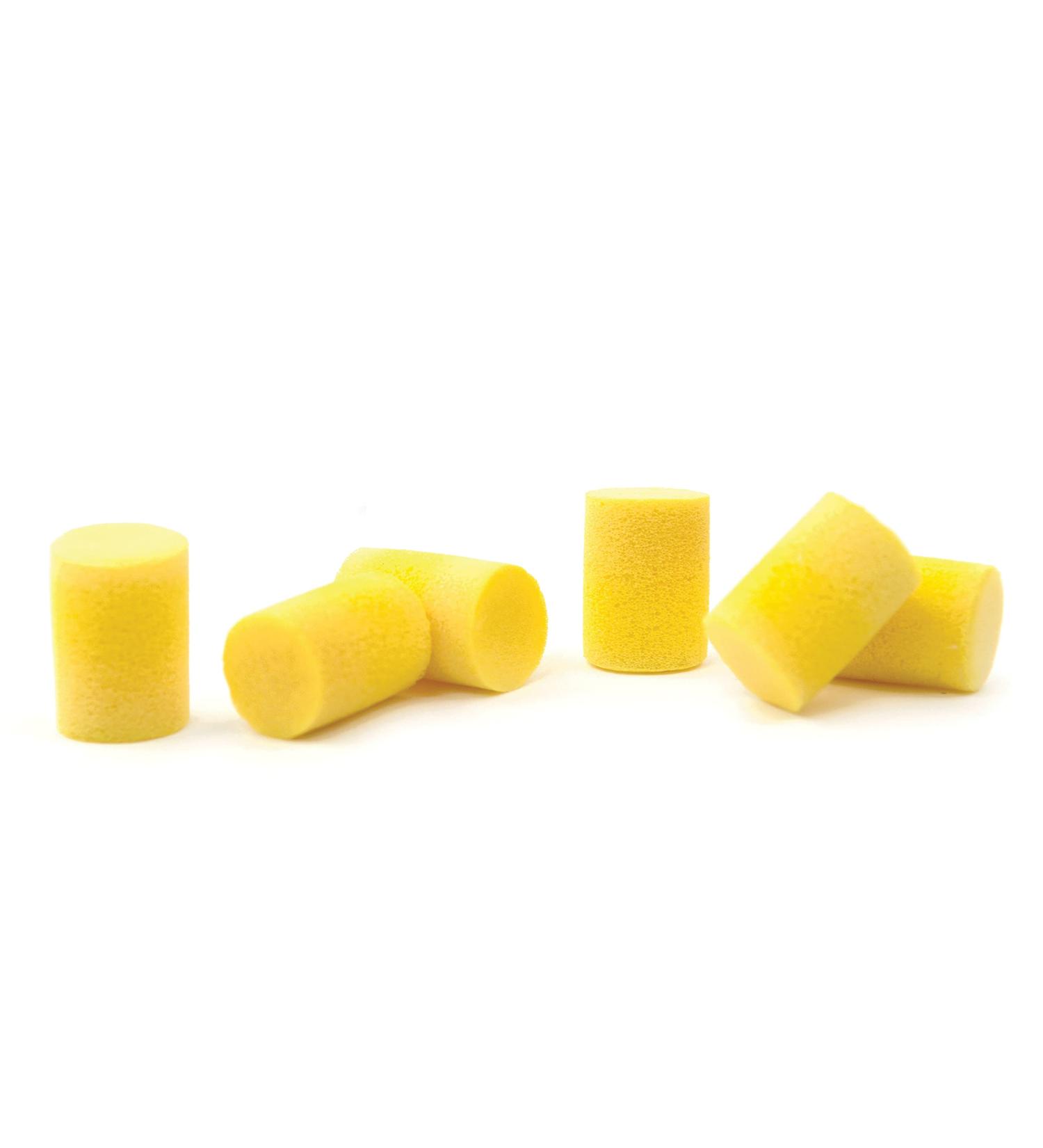 Planet Waves Comfort Fit Foam Ear Plugs  3 Pair 3-Pair