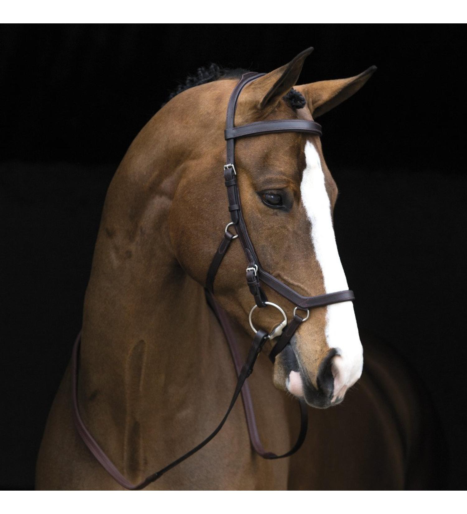 Ireland Rambo Micklem competition bridle dark havana pony