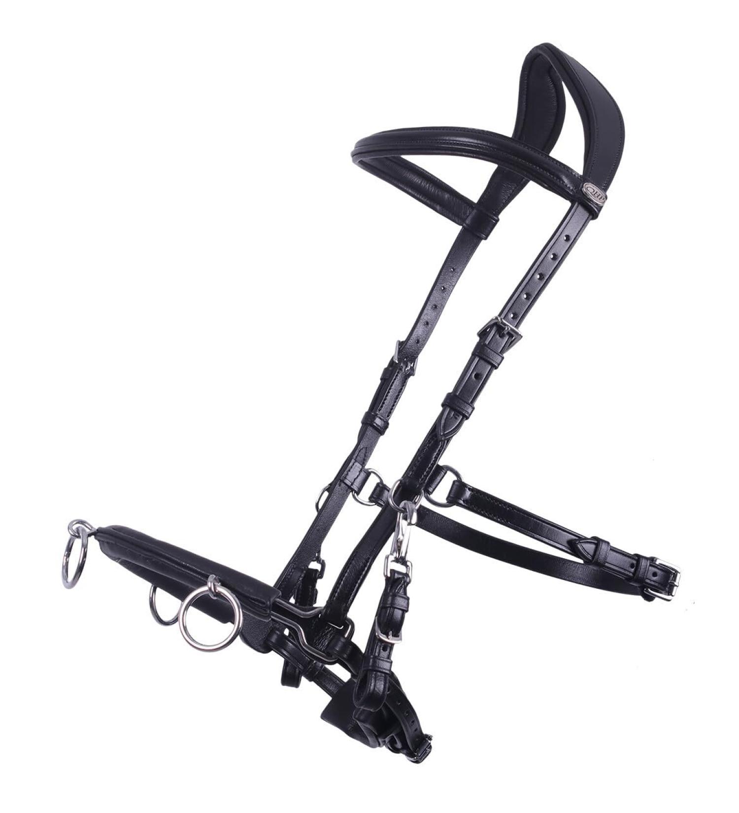 NETPROSHOP Leather Cavesson Lunging Aid for Groundwork - Black Size Pony Cob Full XFull | International Shipping Available - Buy Online on GoSupps.com