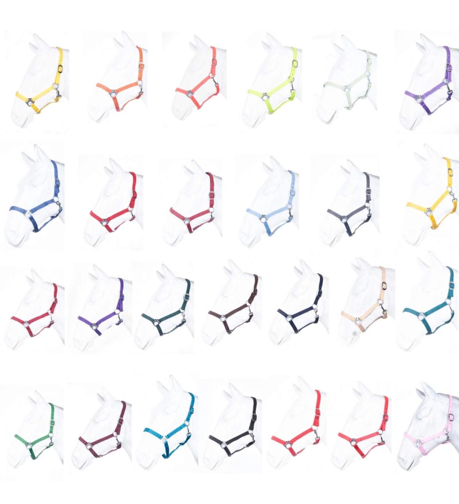 Buy RL24 Nylon Halter BASICLINE in Petrol for Warmbloods - Durable & Stylish | International Shipping Available - Buy Online on GoSupps.com