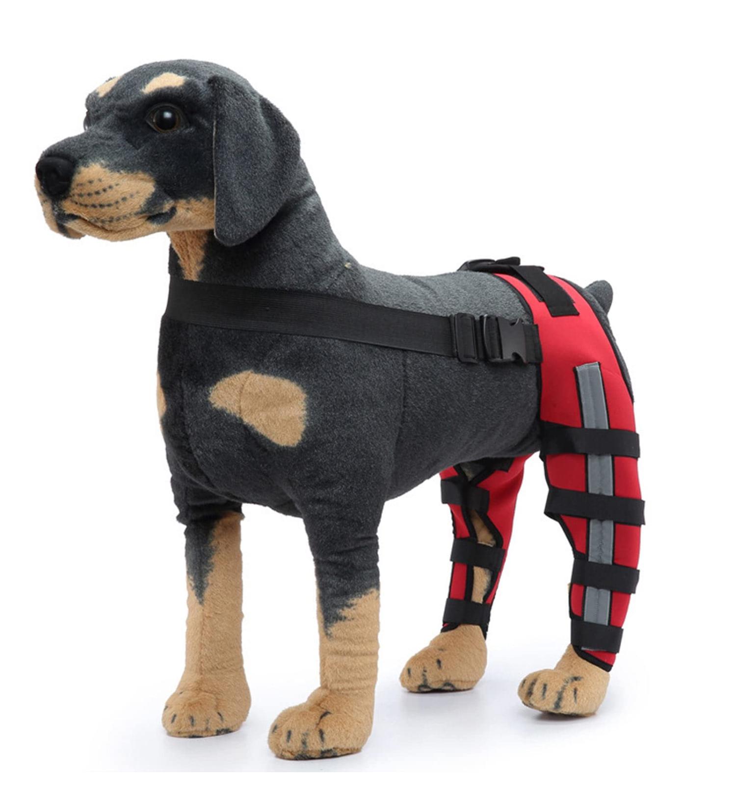 Dog Knee Brace Elastic Dog Leg Brace with Reflective Strips Pet Dog Rear Leg Bracer Support for Hind and Rear Leg Pet Knee Brace for Joint Pain Knee Dislocation (L) - Buy Online on GoSupps.com