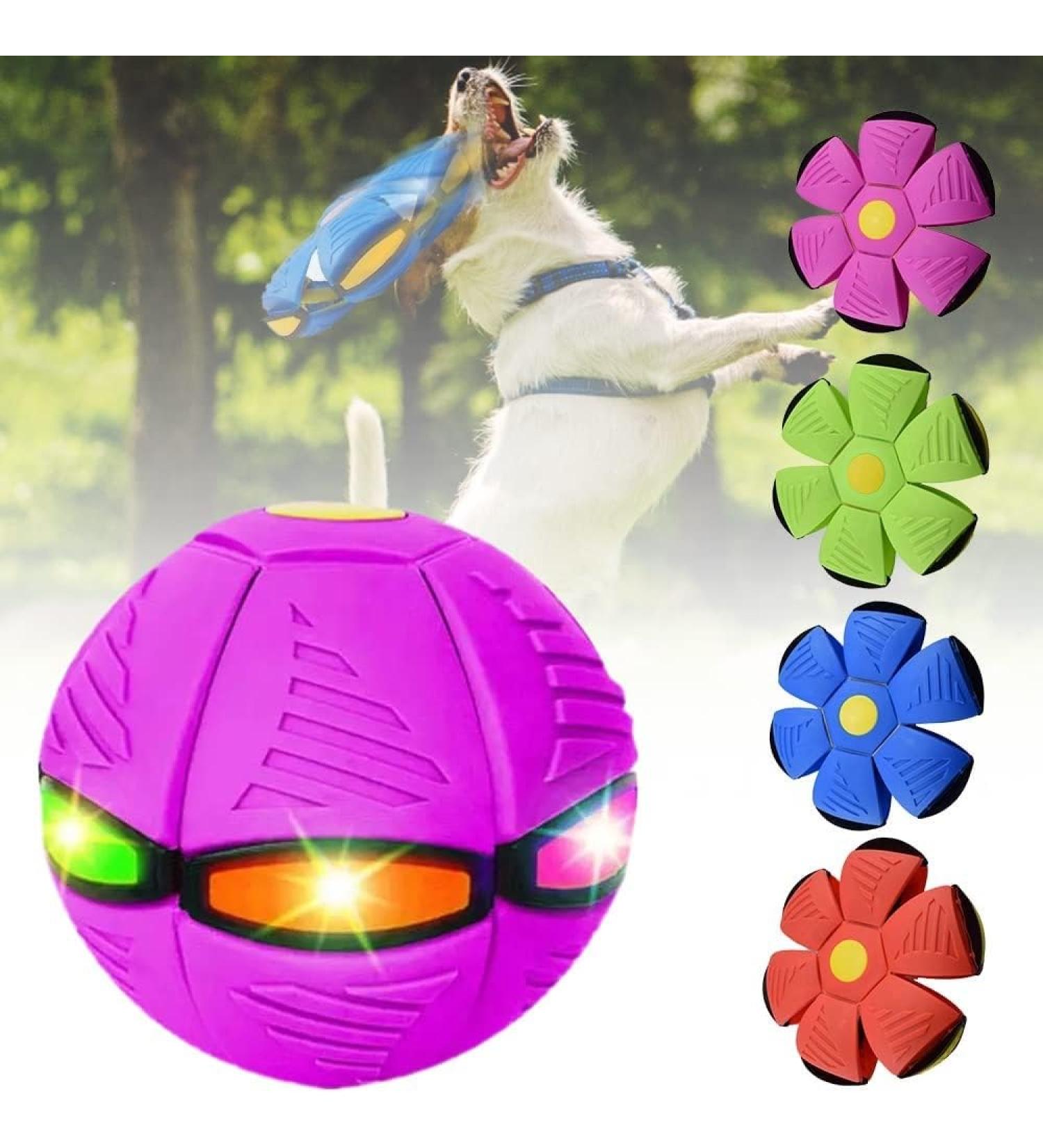 Shop Durable Flying Frisbee Balls & Saucer Toys for Dogs - Ultimate Pet Fun with Lights - Buy Online on GoSupps.com