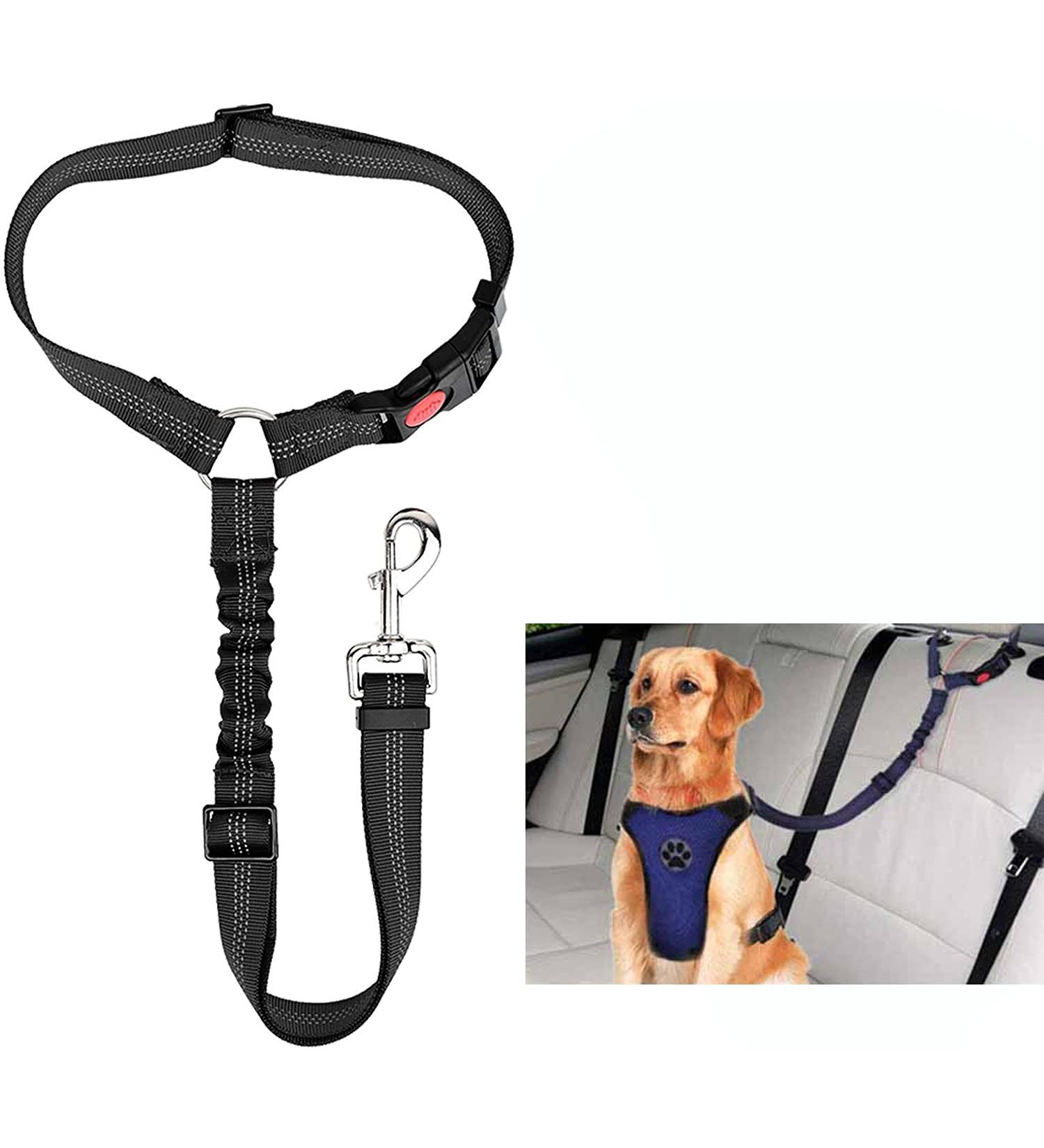 Adjustable Car Dog Seat Belt with Elastic Bungee - Reflective Stripe, Safety Restraint for Travel, Connects to Dog Harness - Buy Online on GoSupps.com
