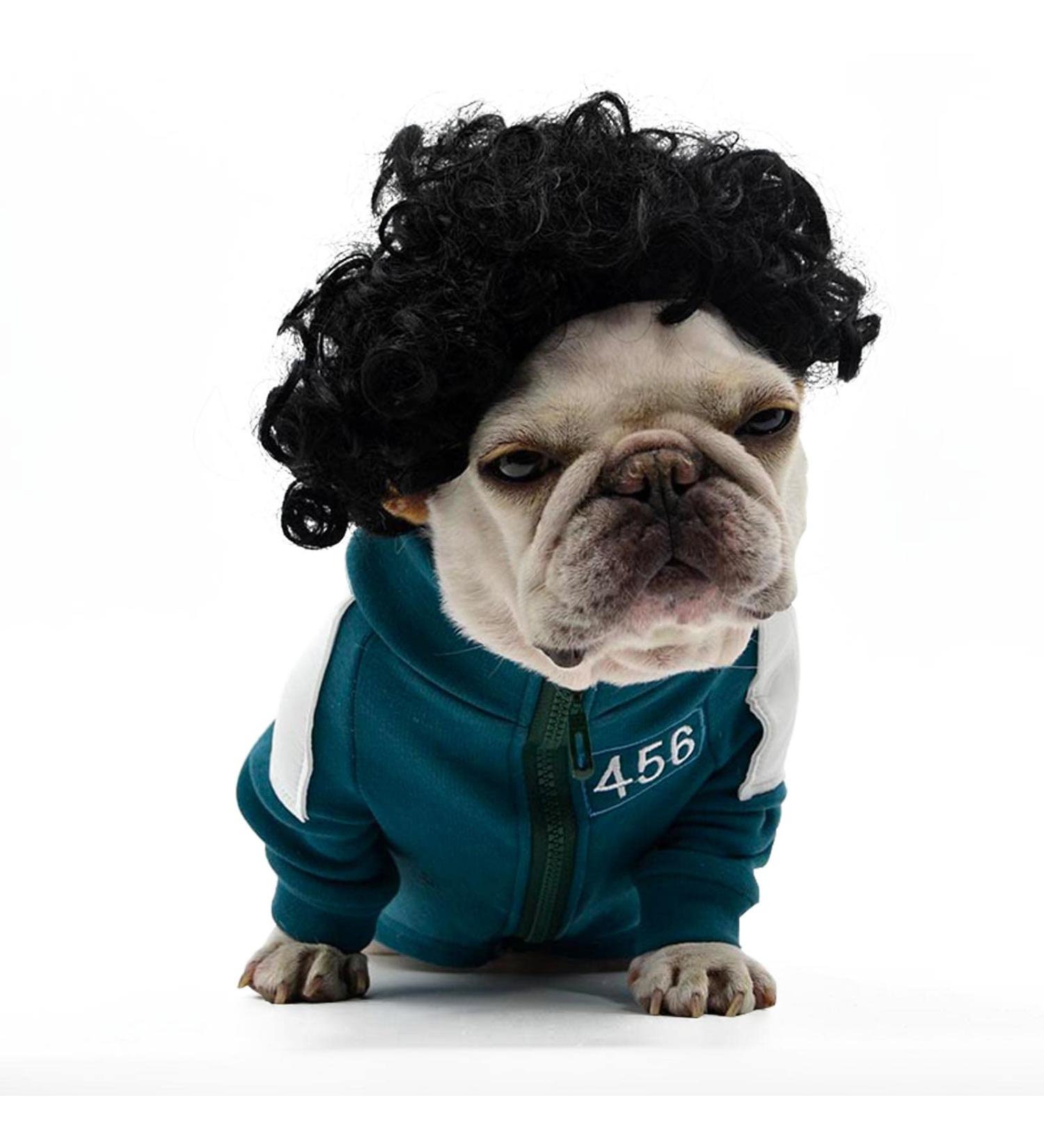 Funny Dog & Cat Wigs for Halloween & Parties | International Shipping - Perfect for Small to Large Pets - Buy Online on GoSupps.com