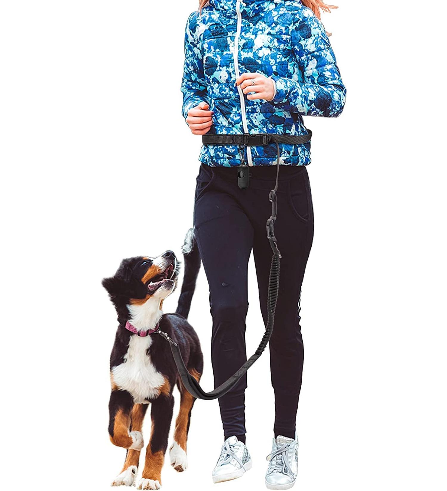 Hands Free Running Dog Lead - Retractable 7FT Long Training Leash for Medium Large Dogs - Reflective Nylon Tape - Ideal for Walking, Hiking, Jogging - Car Seat Belt Leash - Black - Buy Online on GoSupps.com