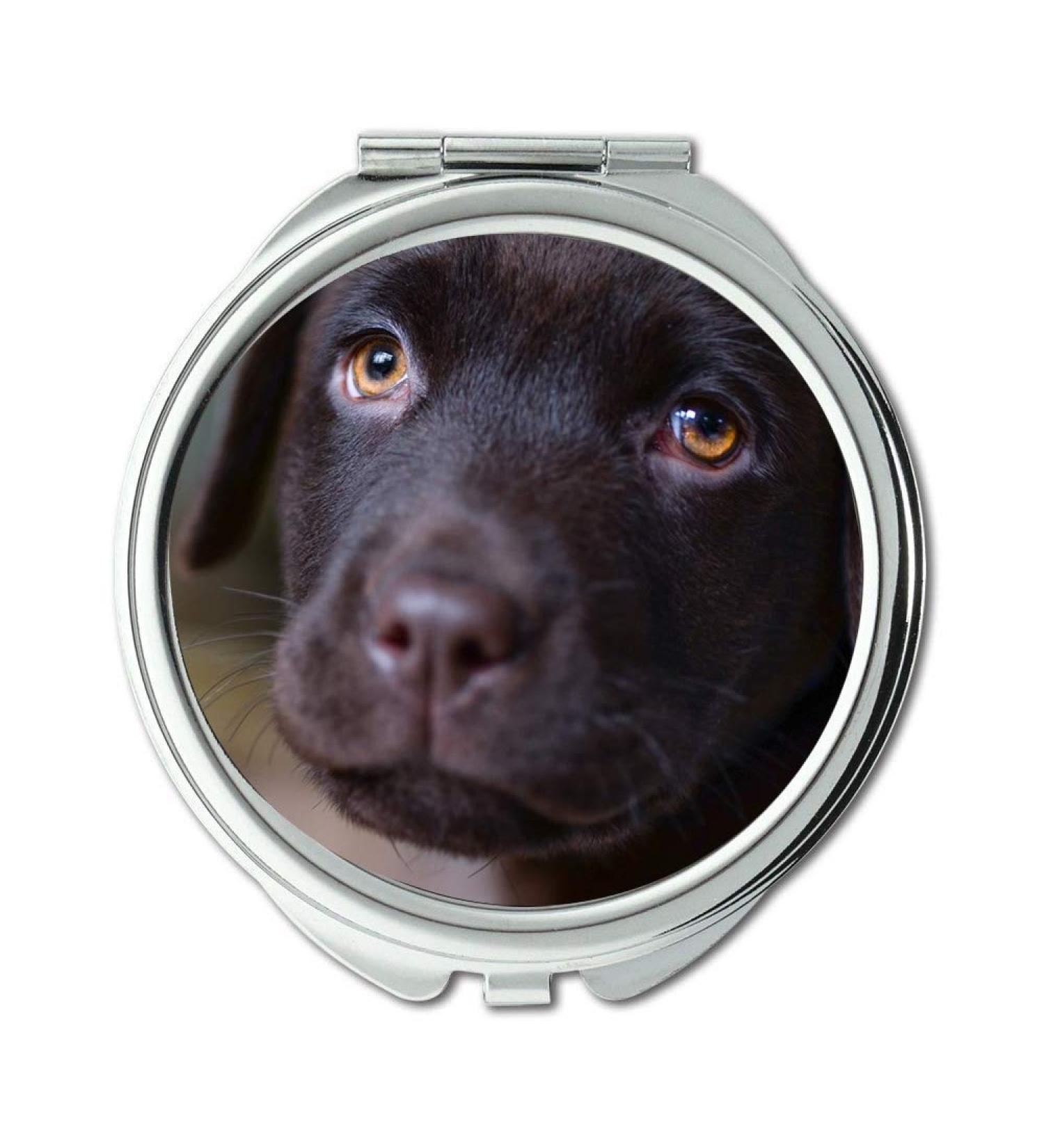 Mirror Travel Mirror Young Labrador Puppy Brown Dog Pet Animal Pocket Mirror portable mirror - Buy Online on GoSupps.com