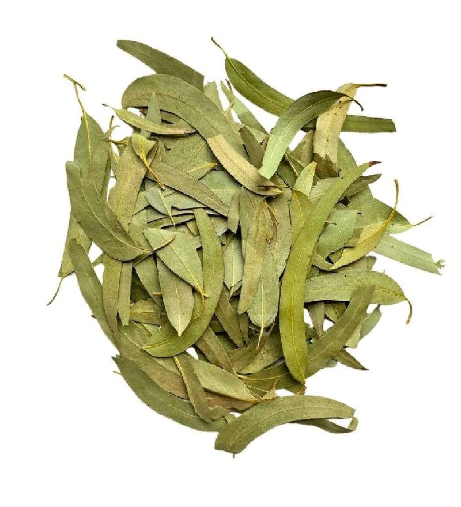Herbal tea Eucalyptus leaf 100 GRS WHOLE extra Eucalyptus globulus - Buy Online on GoSupps.com