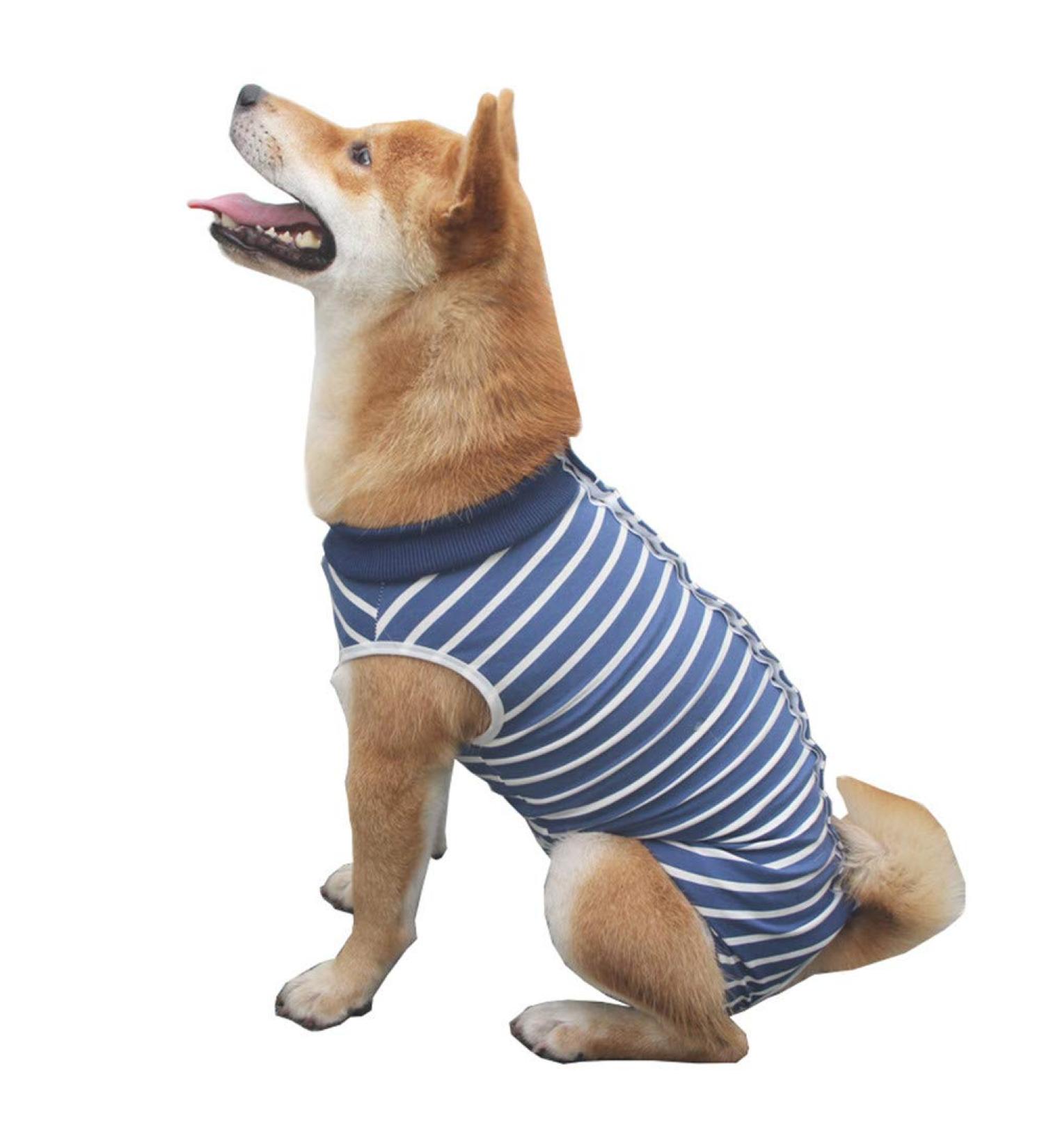 WPCASE DOG Professional Recovery Suit - Surgical Dog Shirt for Belly Wounds & Kegel E-Collar Alternative - Blue Size S - Buy Online on GoSupps.com