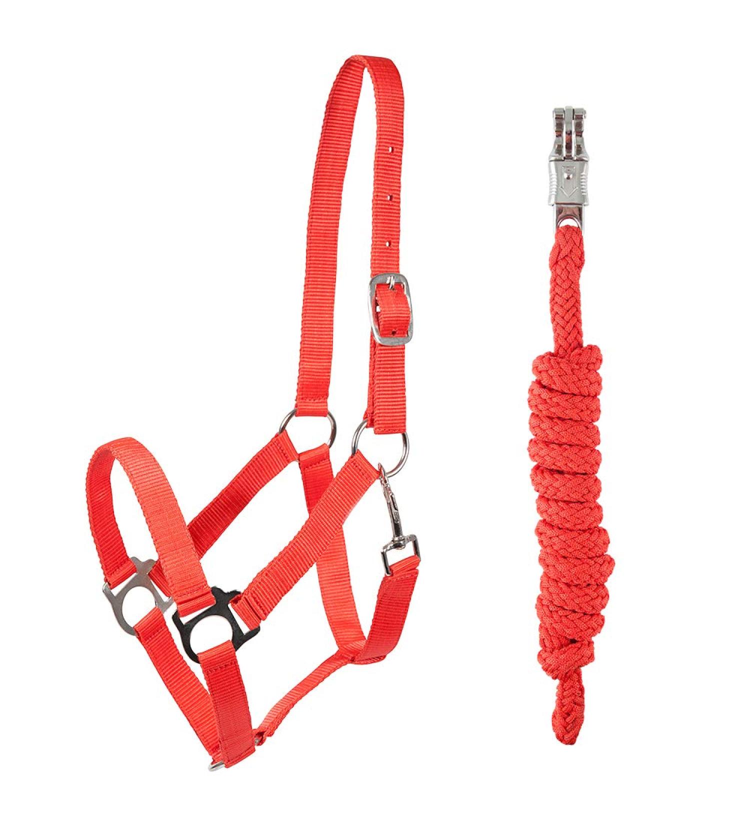 PFIFF 102931 Halter and Rope Set Plastic Halter Lead Rope Red Cob Cob Red