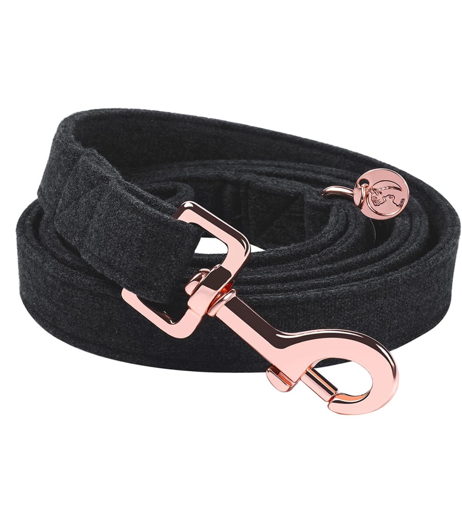 Dogwong Black Pet Leash for Small & Medium Dogs - Comfortable Detectable Leash for Boys & Girls - Pack of 1 - Buy Online on GoSupps.com