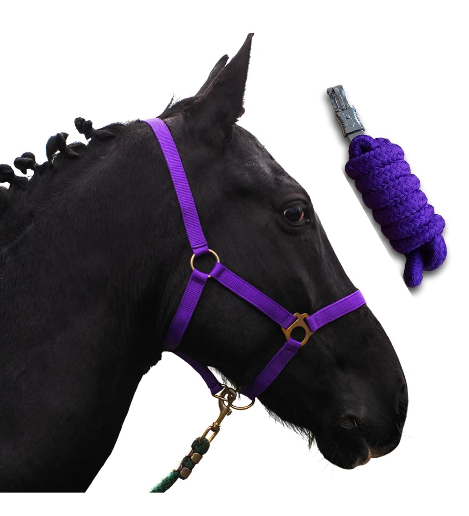 Horse Halter with Rope | Premium Knitting Halters for Shetty Pony Thoroughbred | X-Full Full Sizes | Purple Lila Shetty - Buy Online on GoSupps.com