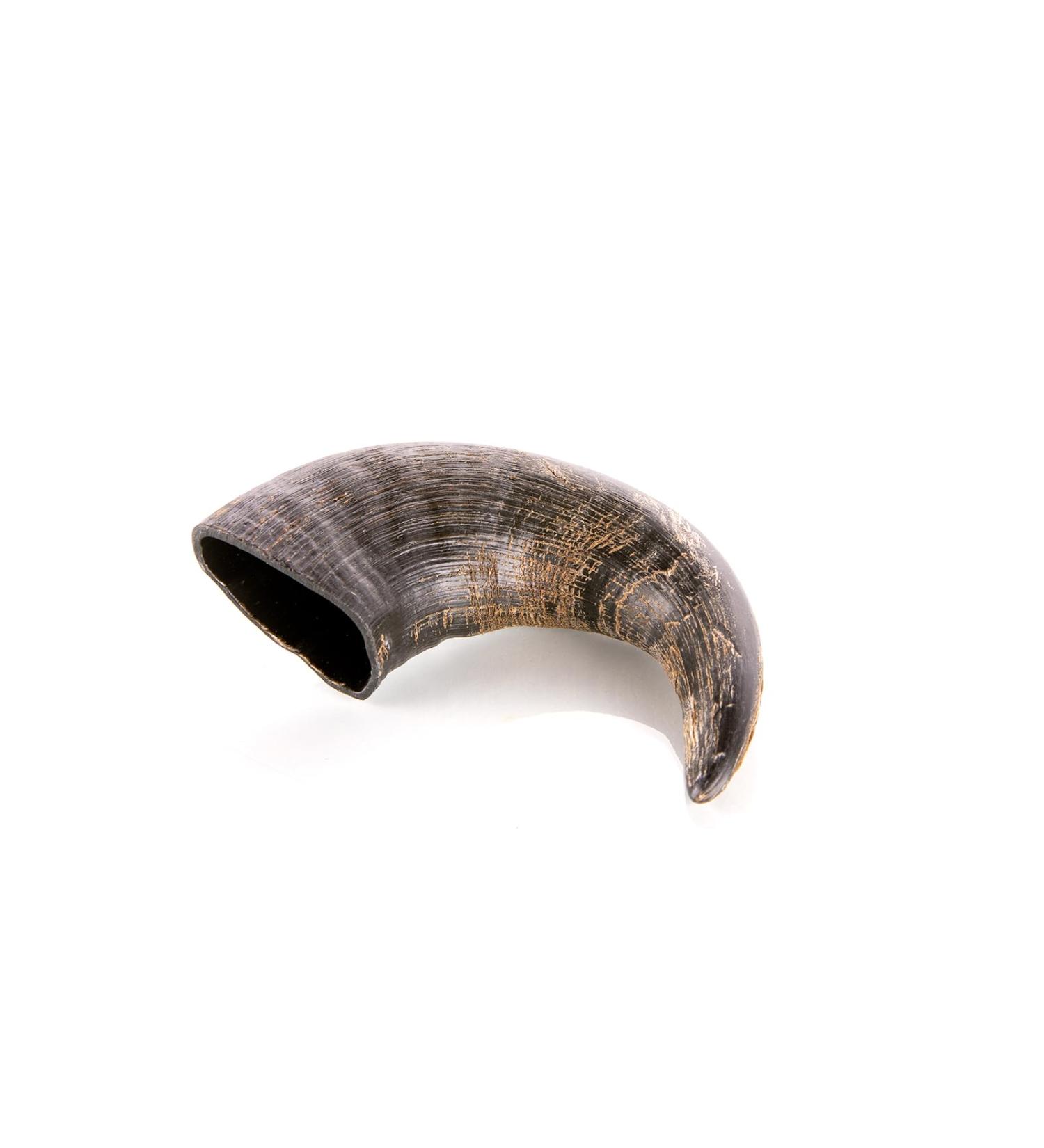 Animal House - Buffalo Horns for Dogs - Natural - Strengthens Oral Hygiene - Durable and Long Lasting - Available in All Sizes - Cruelty Free (1 M) - Buy Online on GoSupps.com