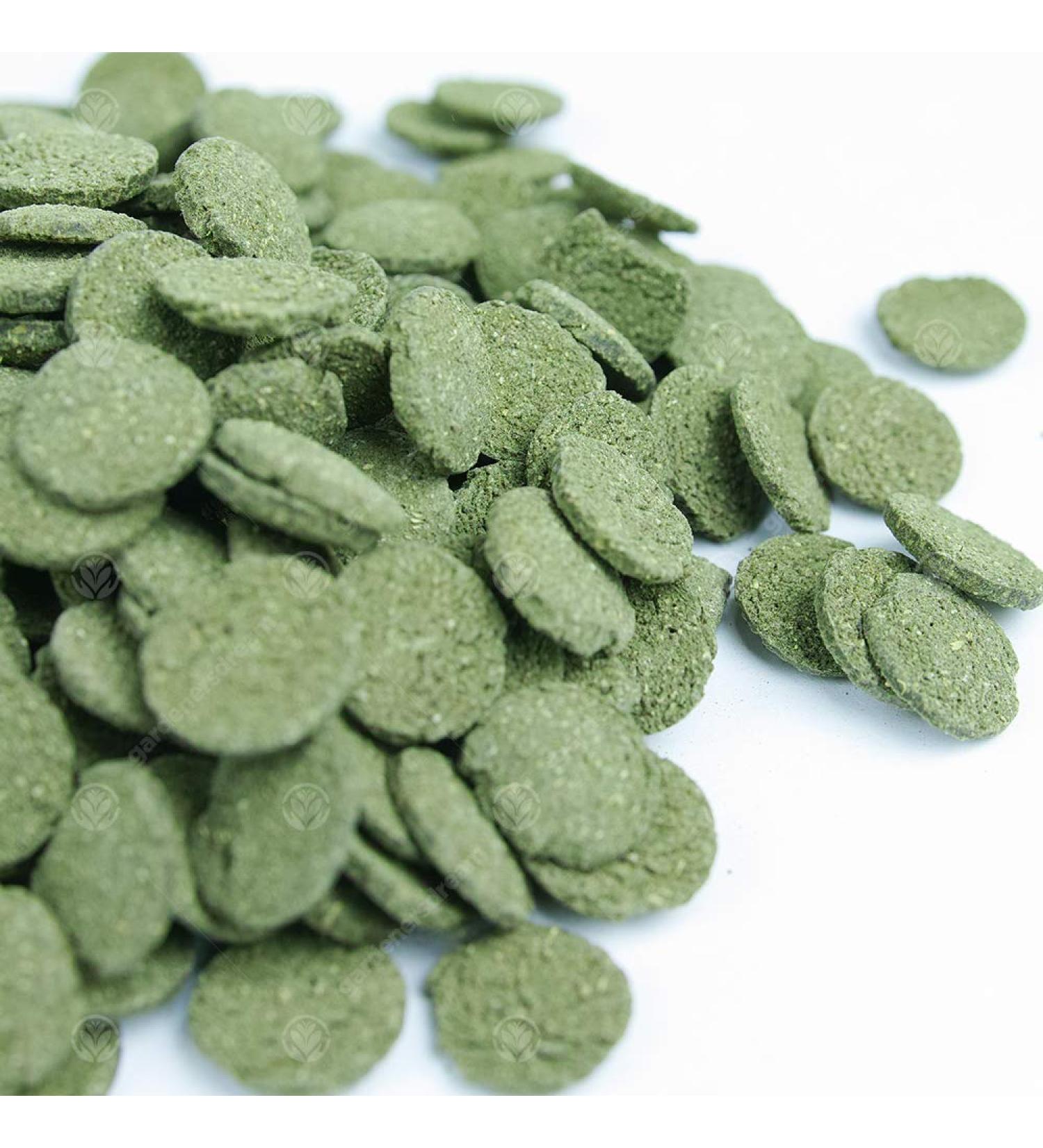 GardenersDream Premium Spirulina Algae Wafers Complete Aquarium Fish Food - Buy Online on GoSupps.com