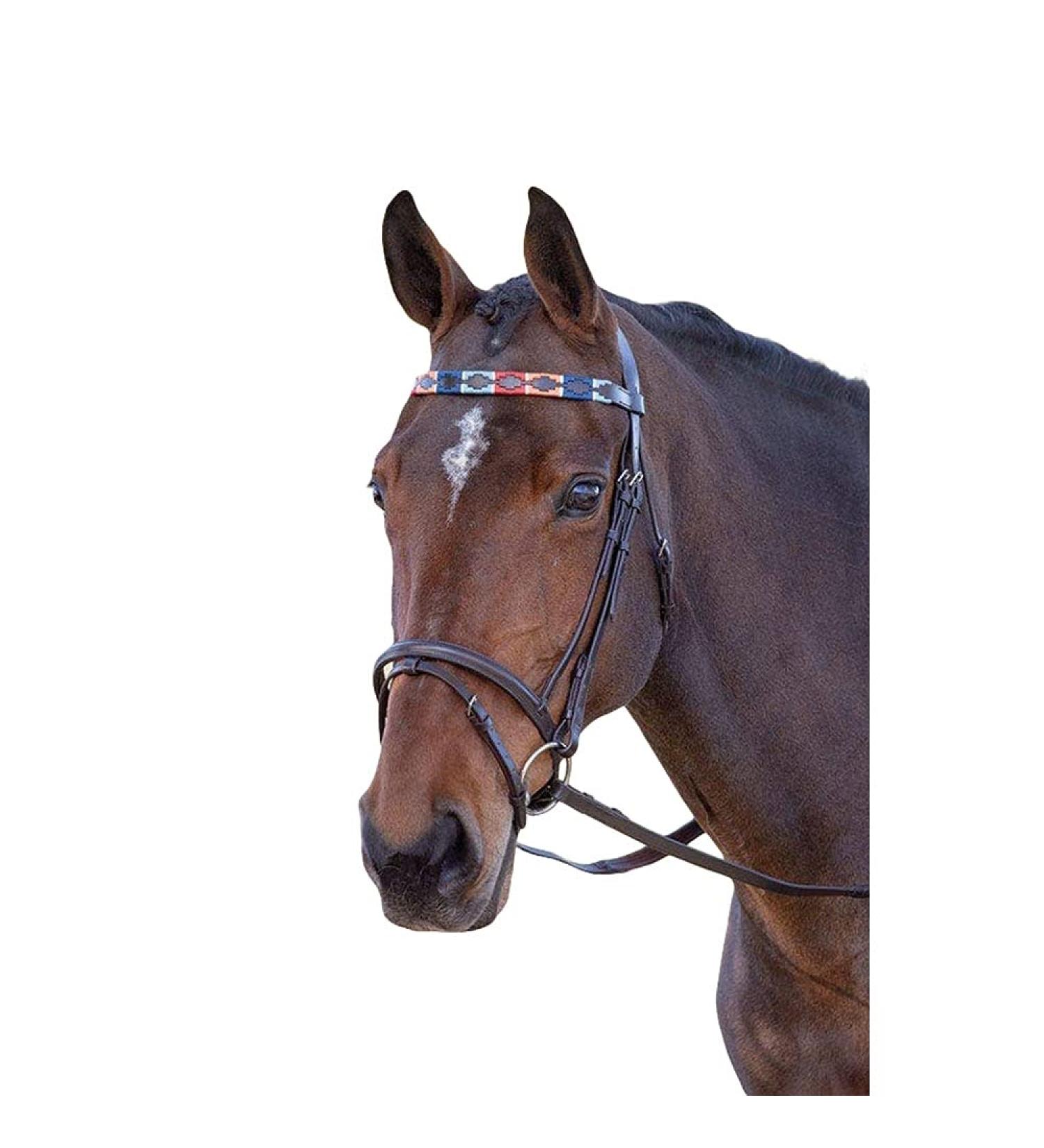 Shires Blenheim Polo Headband - Extra Large Leather in Turquoise/Red/Orange/Blue for Coldblood/Warmblood - Buy Online on GoSupps.com