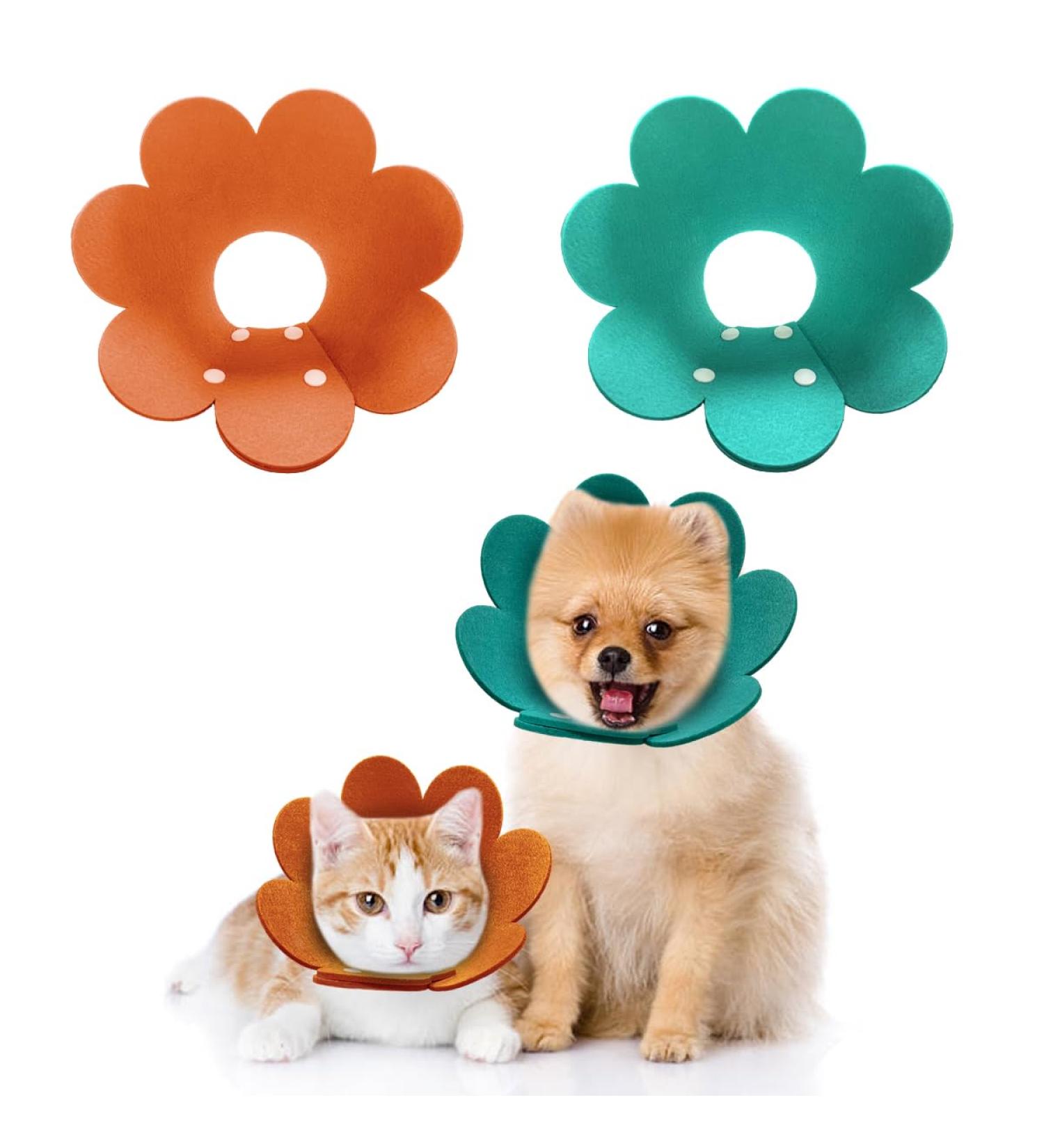 Adjustable Cat Recovery Collar 2 PCS Post Surgical Soft Pet Protection Collar for Kitten Cats Puppy (Blue & Orange) Boy - Buy Online on GoSupps.com