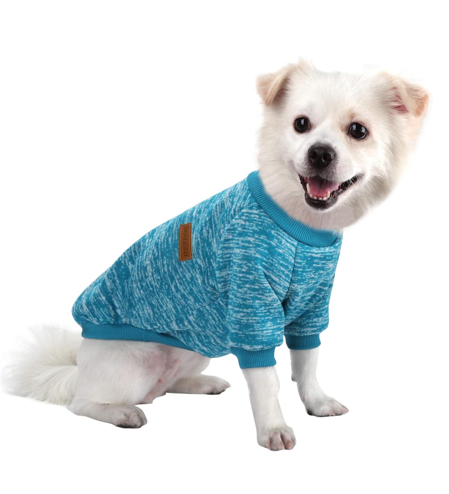 Buy Hualisiji Dog Sweater for Small Dogs | Warm & Light Chihuahua Hoodie | Soft Knitting | Elastic & Easy to Wear (Blue L) - International Shipping Available - Buy Online on GoSupps.com