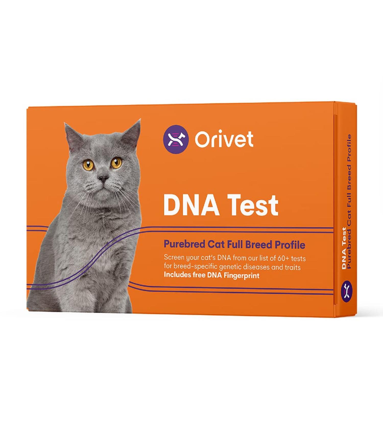 ORIVET Cat Breed DNA Test - 1 Pack | Comprehensive Genetic Health Screening & LifePlan | At Home Cheek Swab | Accurate & Fast Results - Buy Online on GoSupps.com