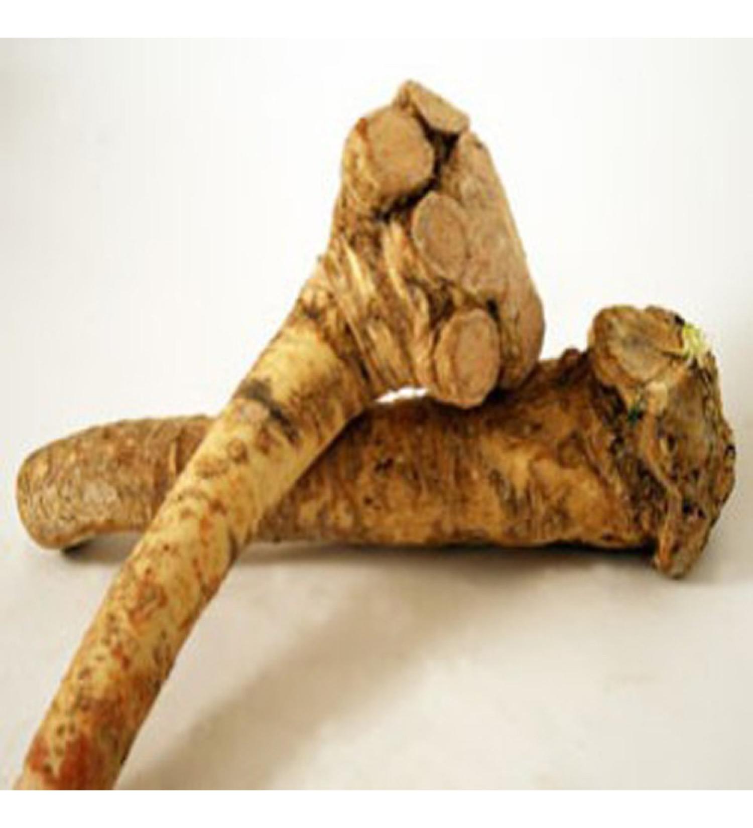Horseradish Roots 12 ounces (USA ONLY Can not ship internationally) Ready For Planting or Preparing As Sauces or Dressings etc. - Buy Online on GoSupps.com