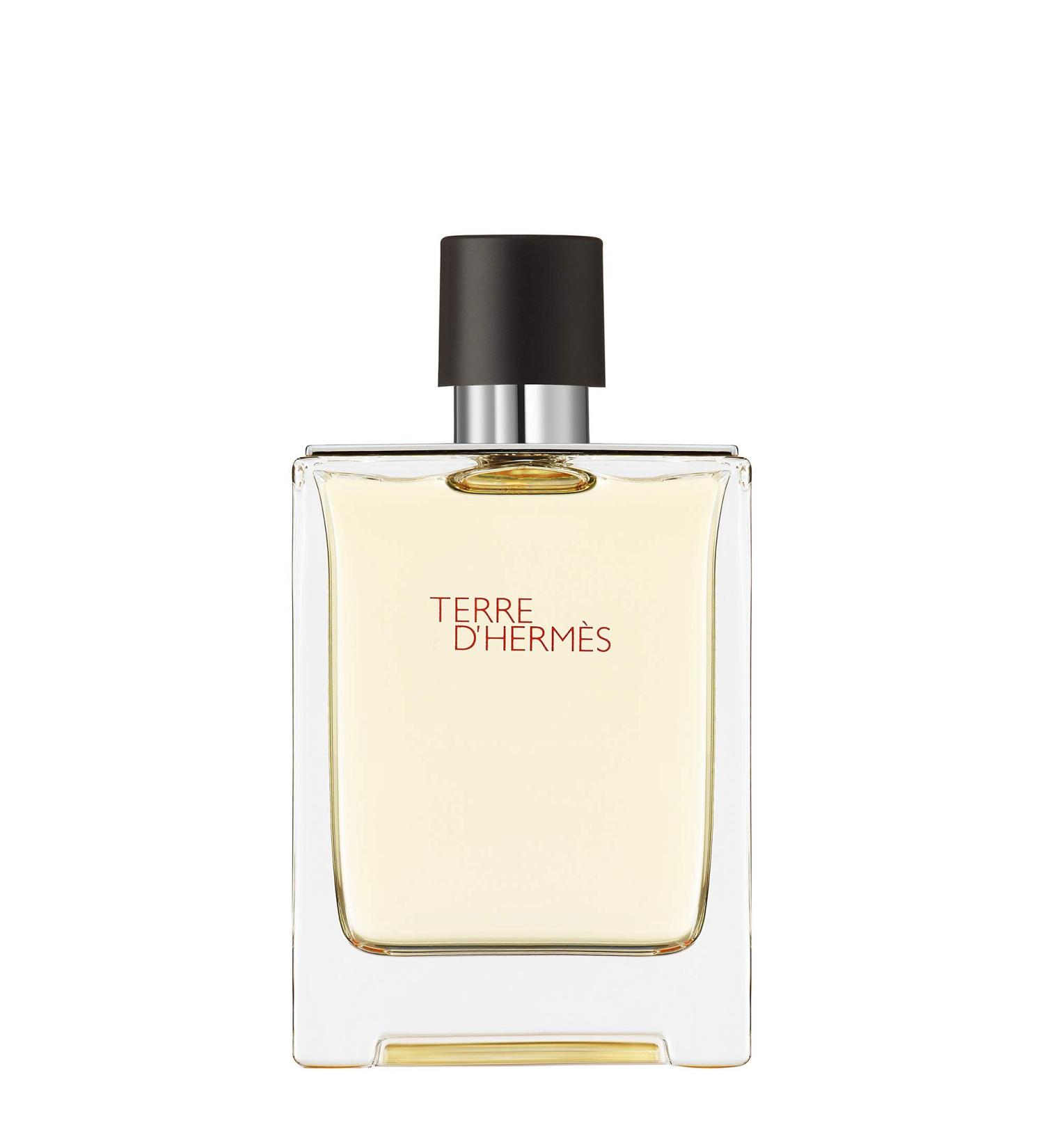 Hermes Terre D'Hermes Eau De Toilette Spray 100ml/3.4oz 3.3 Fl Oz (Pack of 1)