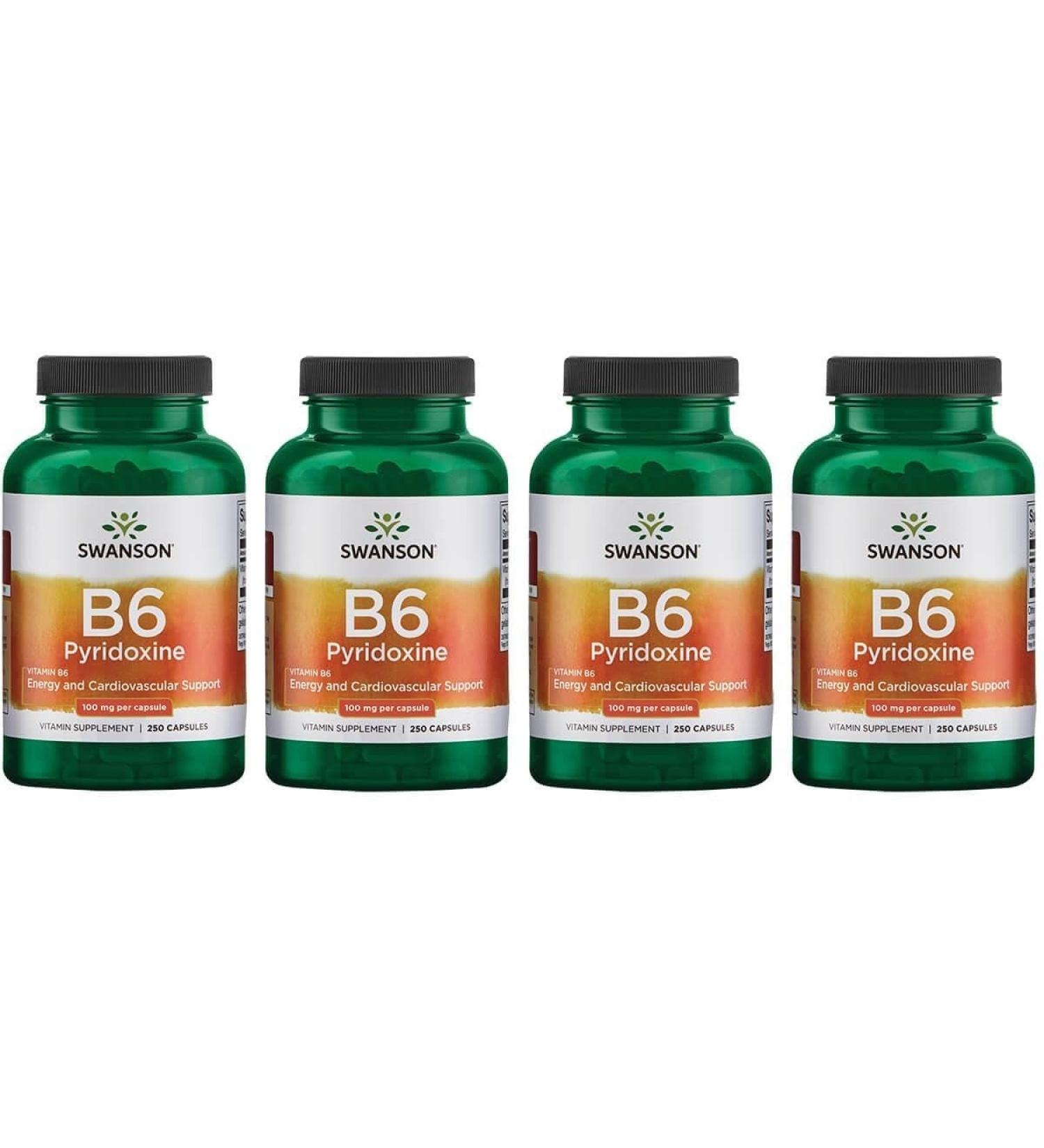Swanson B6 Pyridoxine - Vitamin Supplement Promoting Cardiovascular Health & Energy Metabolism - Natural Formula Promoting Overall Wellness - (250 Capsules, 100mg Each) (4 Pack)