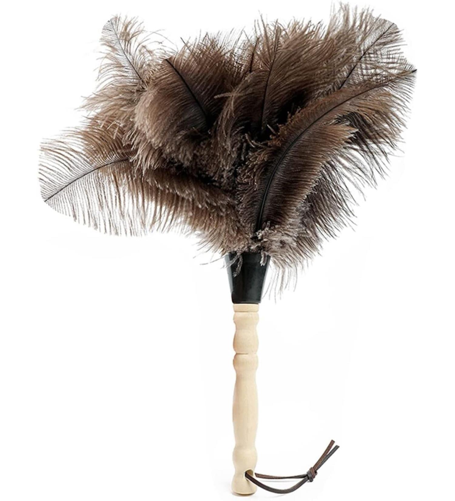 Set Duster Home Cleaning Duster Remover Ostrich Duster Soft Feathers Duster Furniture Handle Dusters Brushes - Buy Online on GoSupps.com
