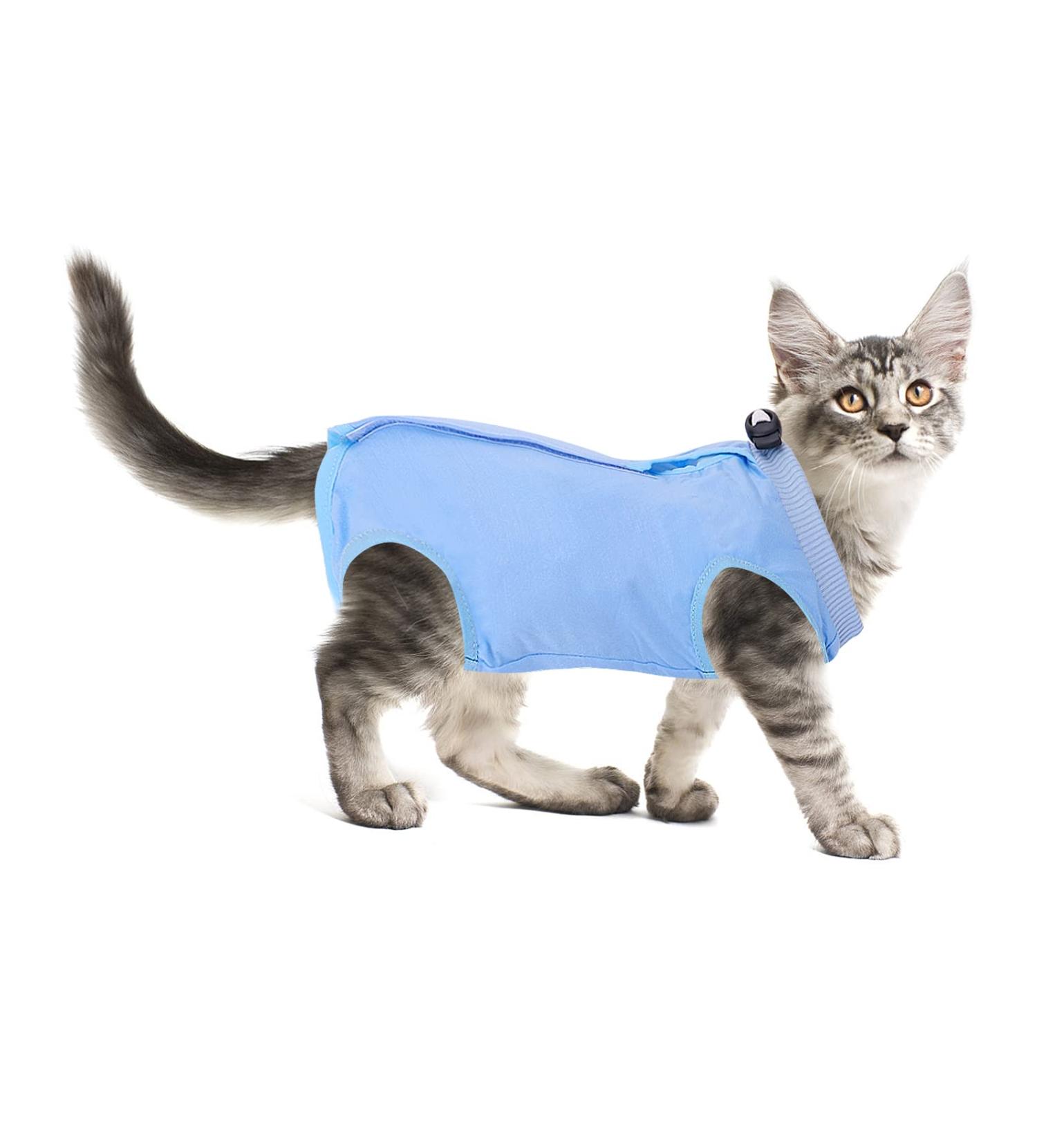 Molain Cat Recovery Suit | Professional Anti-Lick Pajama for Abdominal Wounds & Skin Care | E-Collar Alternative | Blue Size S - International Shipping - Buy Online on GoSupps.com