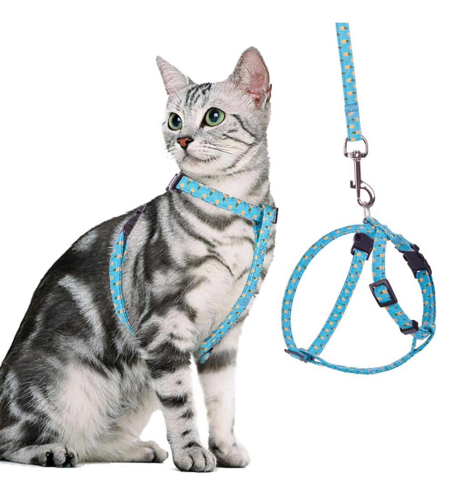 BINGPET Pineapple Pattern Cat Harness and Lead Set - Escape Proof Adjustable Vest for Small, Medium, Large Kittens - Buy Online on GoSupps.com