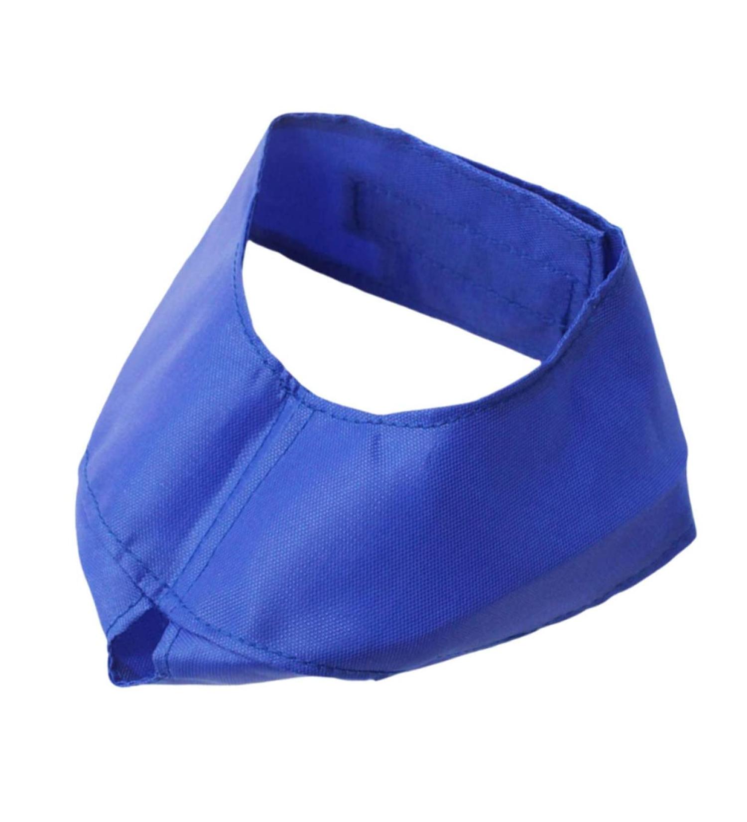 Shop Minkissy Fish Shells Dog Sweater & Glasses | Puppy Eye Flap & Cat Eye Mask - Blue Pet Apparel for Pets with Blindness - Buy Online on GoSupps.com
